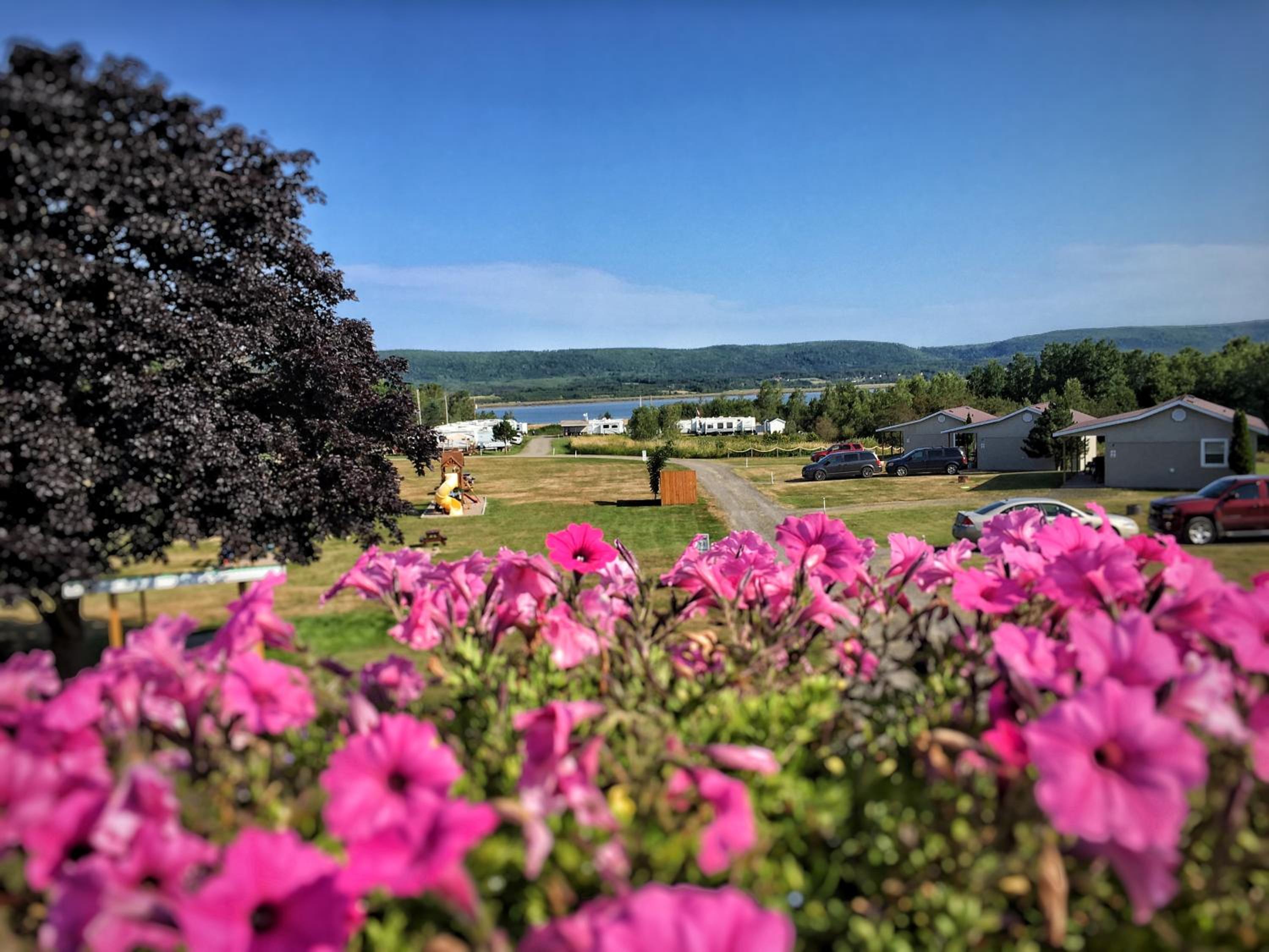 Upper Clements Cottages & RV Park
