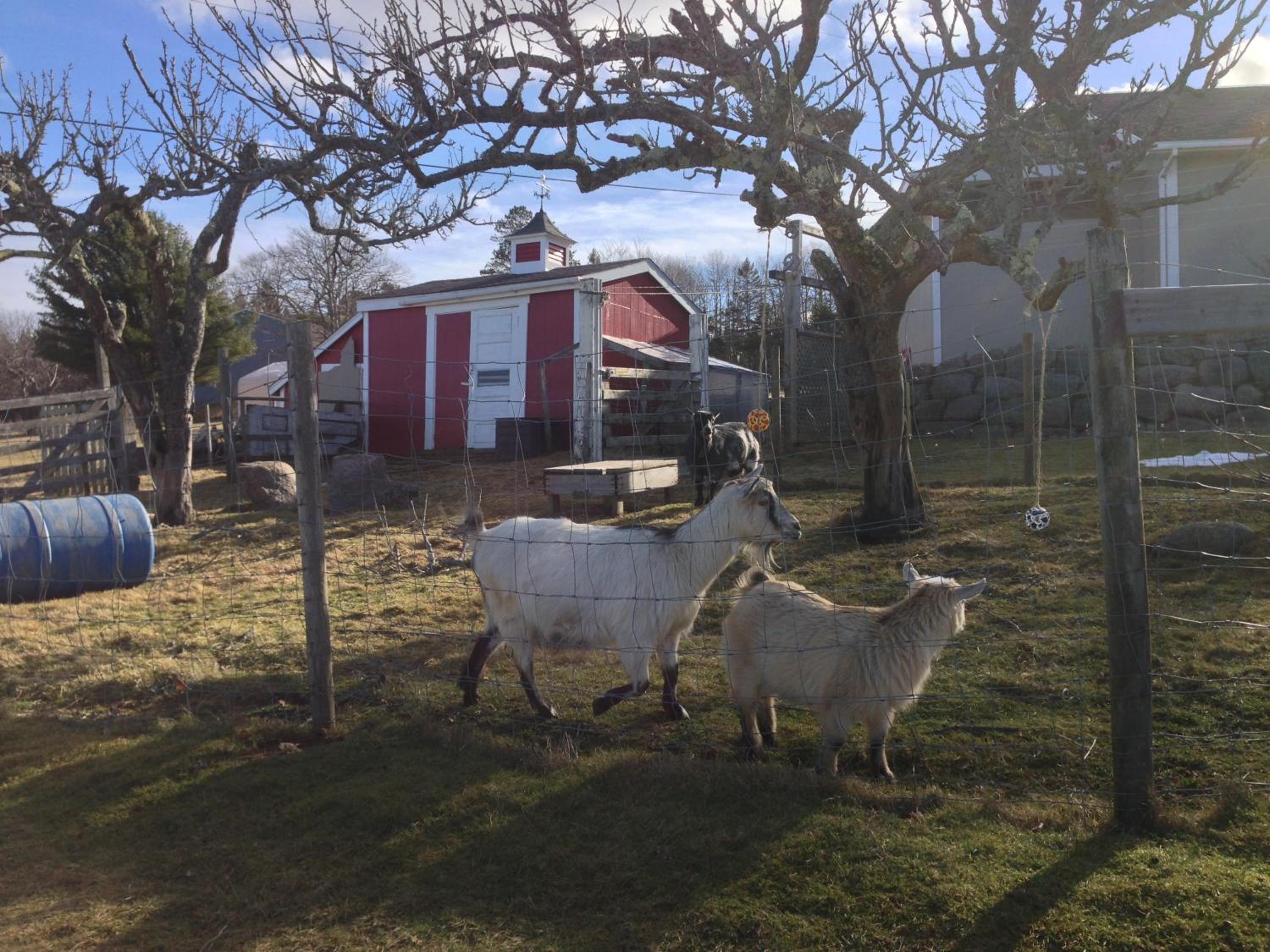 Upper Clements Cottages & RV Park