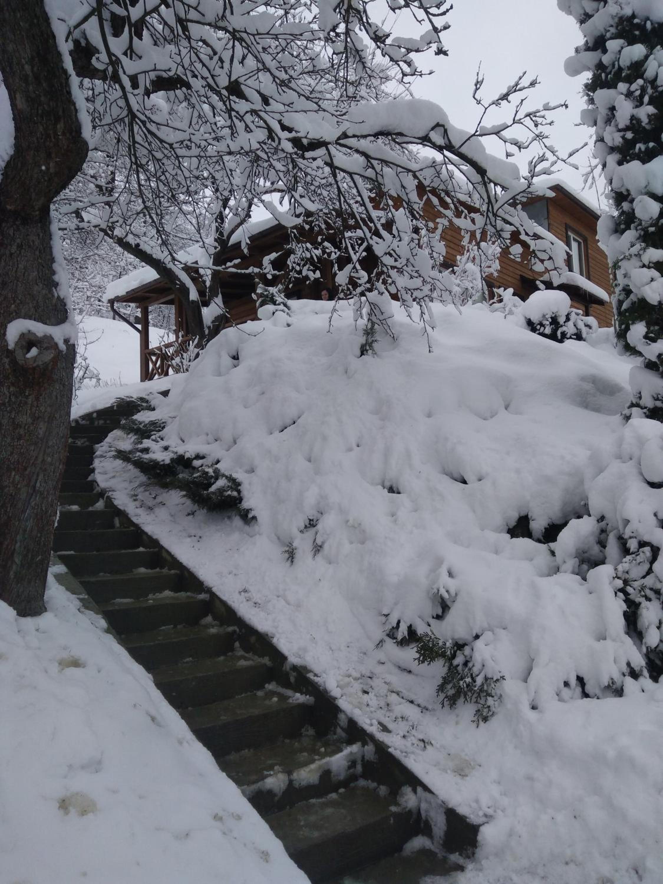 Country House Kosiv, photo 48
