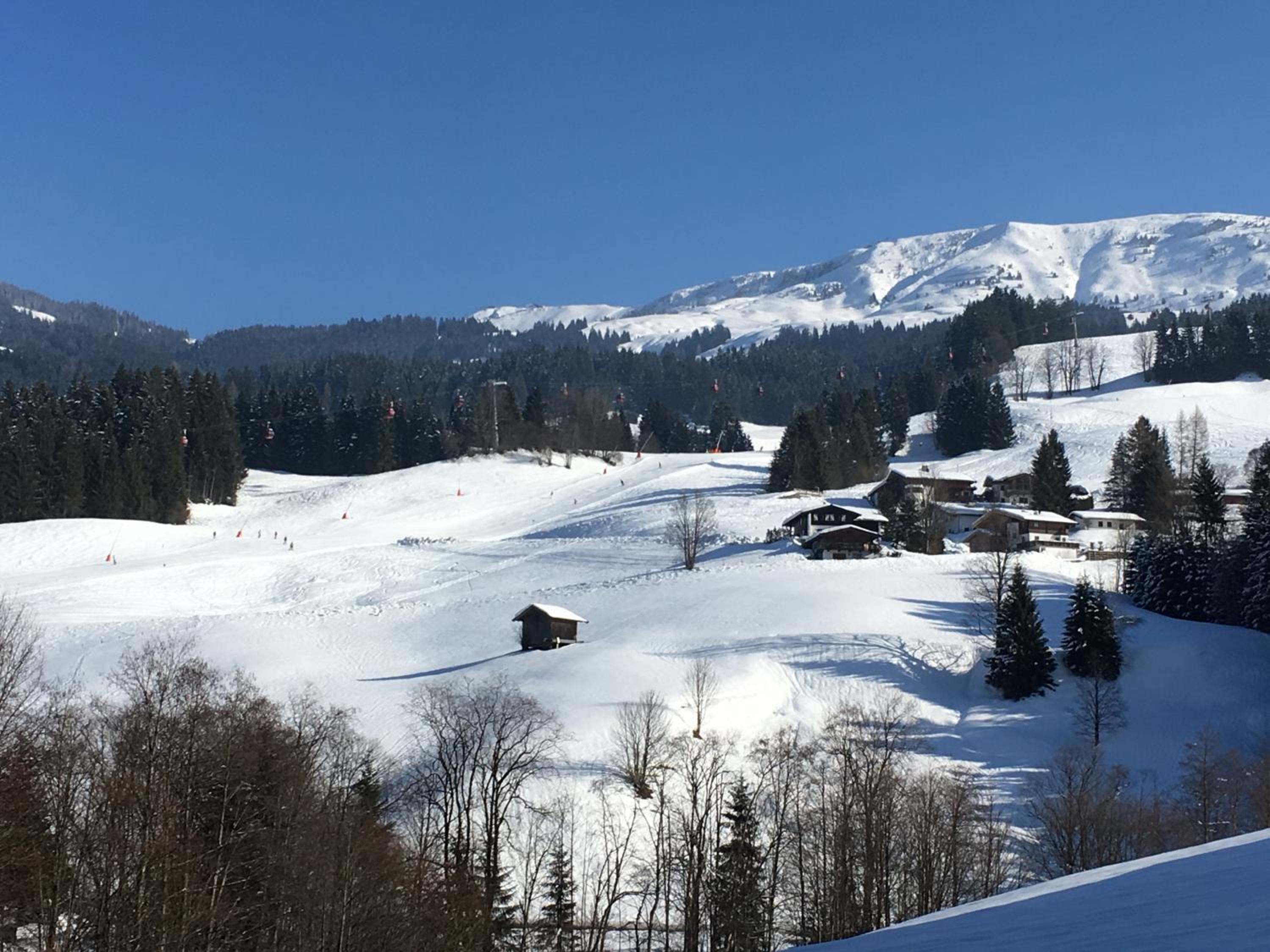 Beim Rohrer