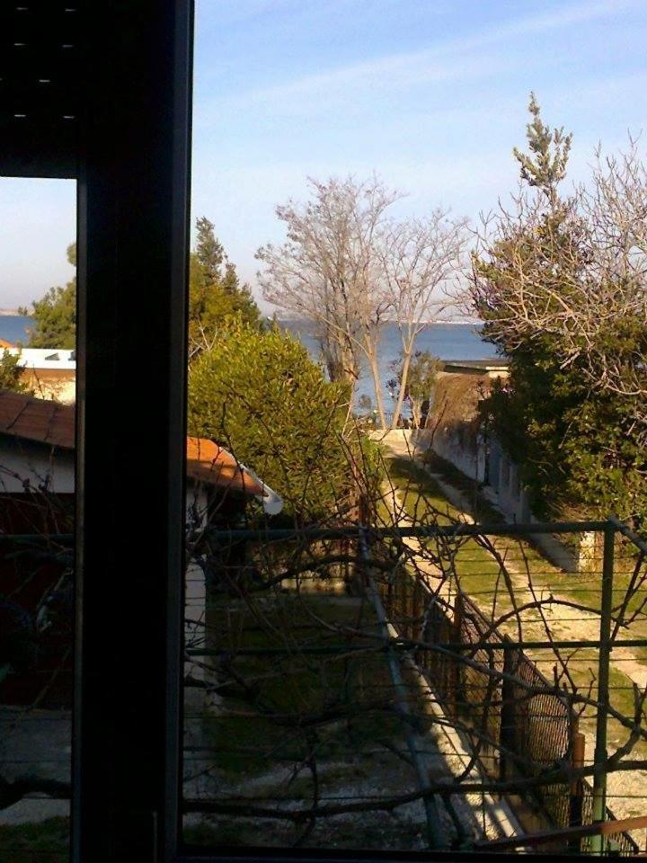 Photo 30