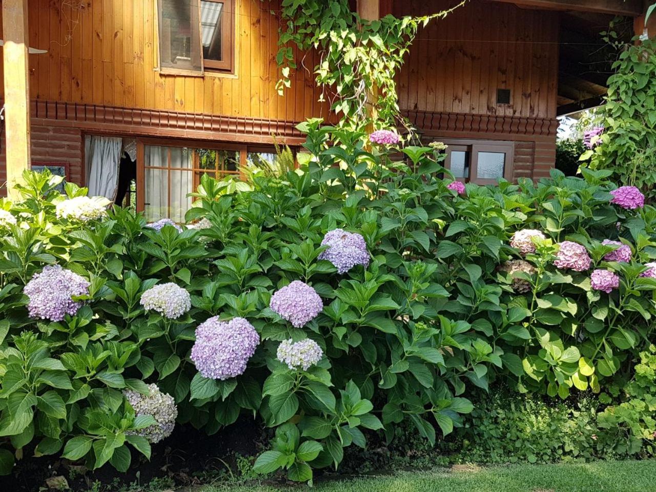 Sta. Marta B&B