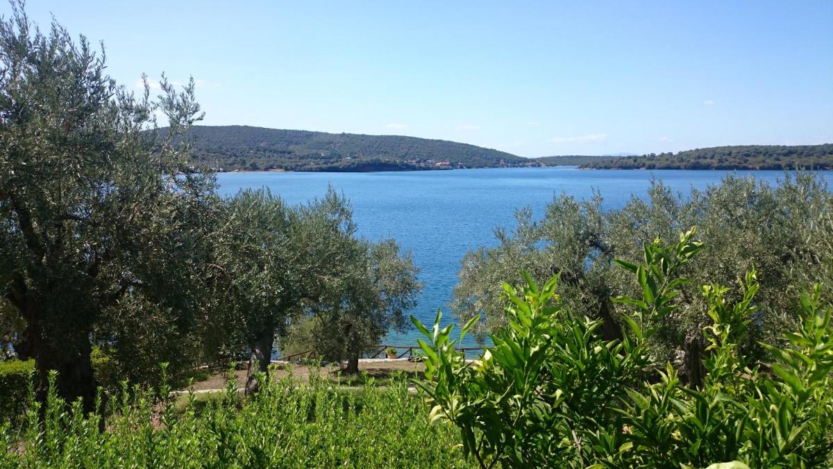 Saint Andrews Bay photo 5