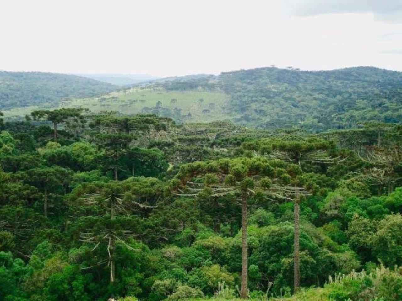 Chalé Campos Da Serra