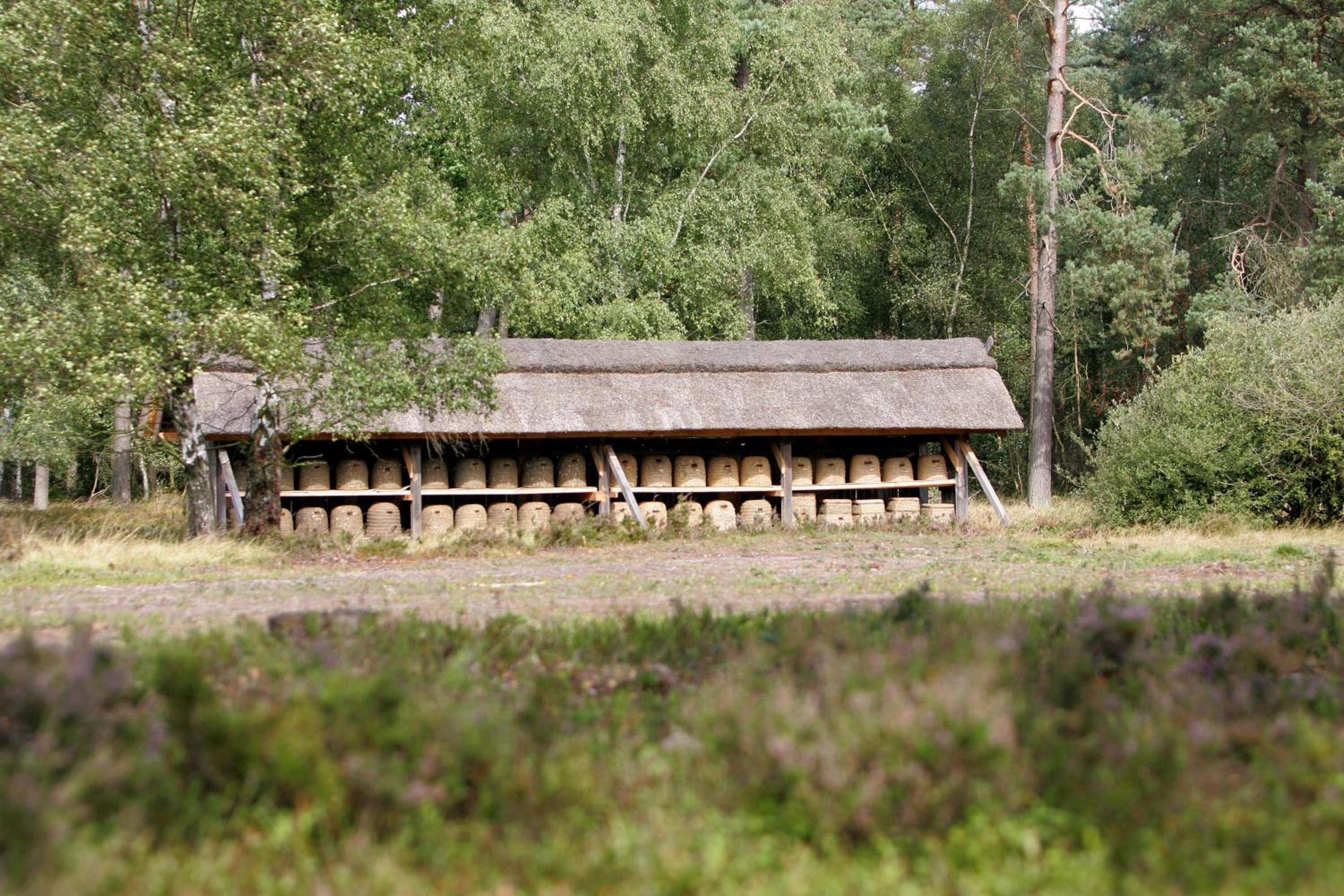 Photo 48