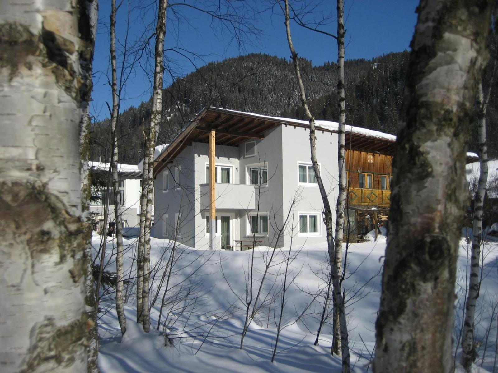 Alpen Chalet Eben