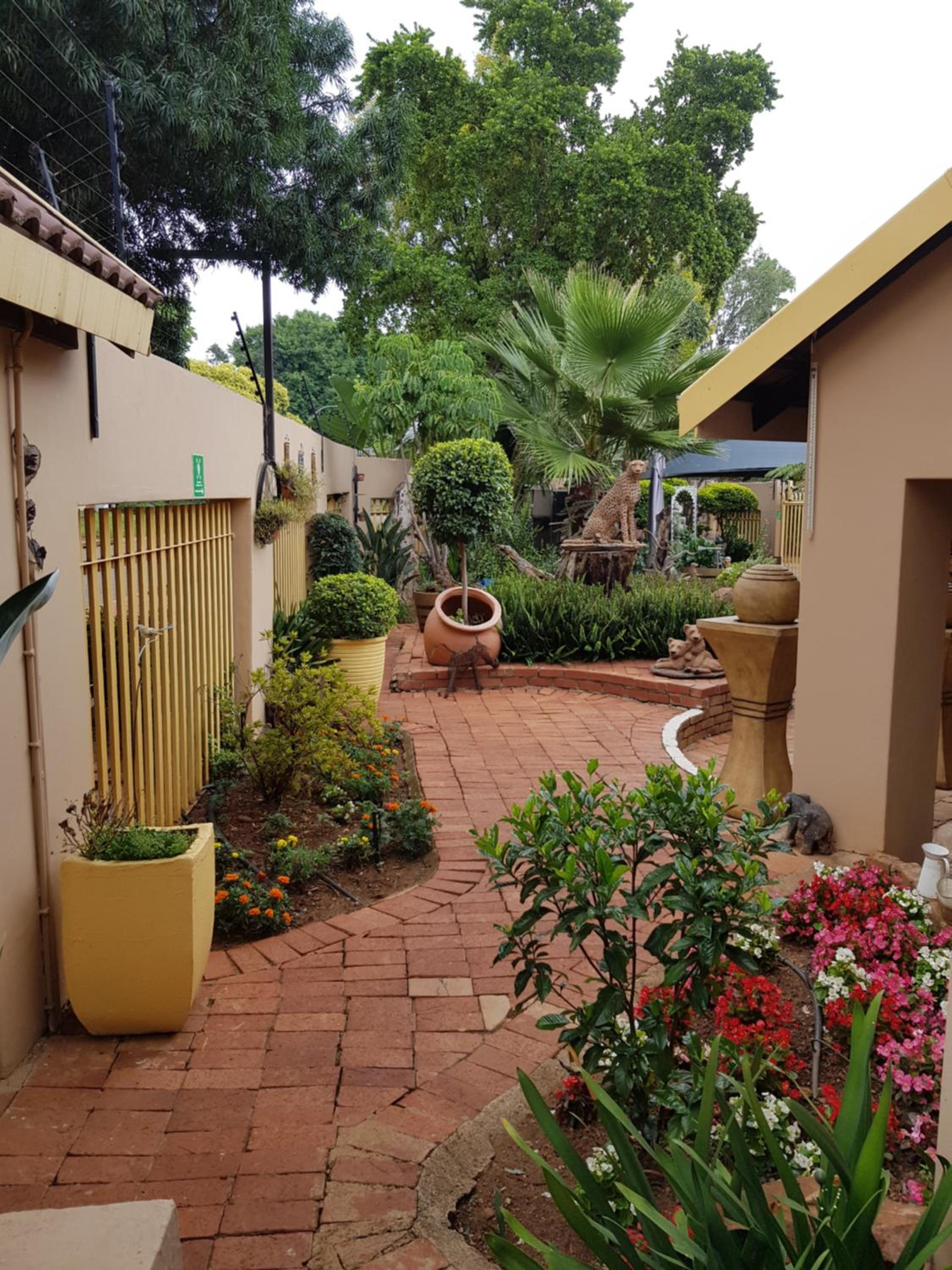 Photo 18