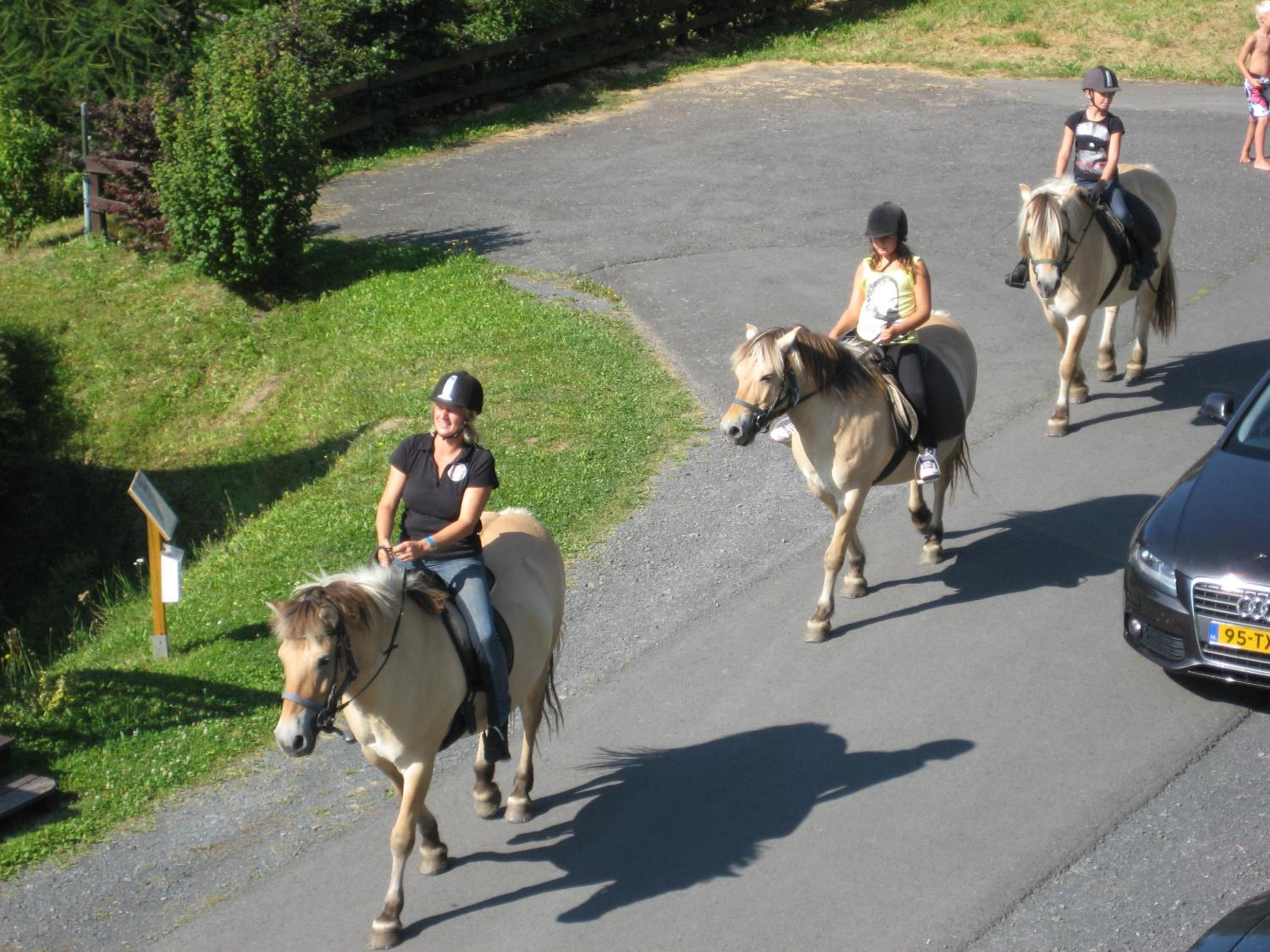 HuizeFrankenau