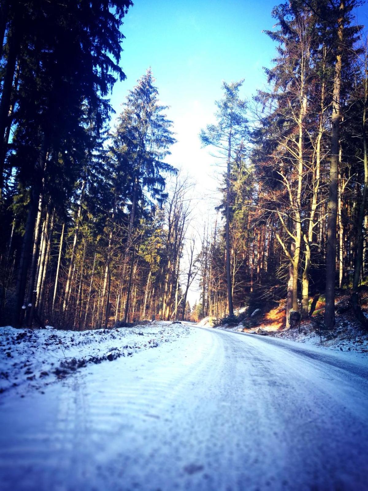 Photo 50