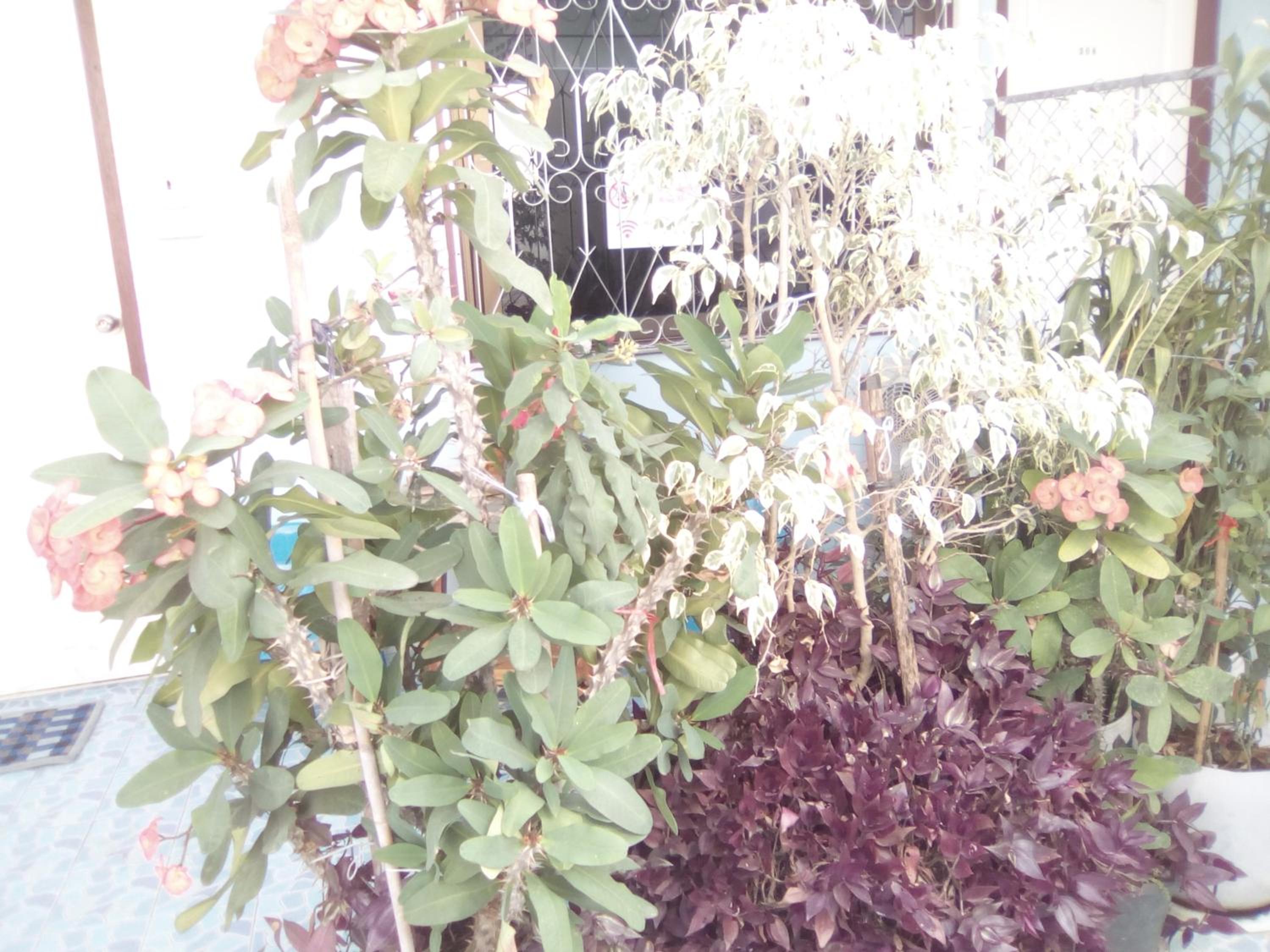 other