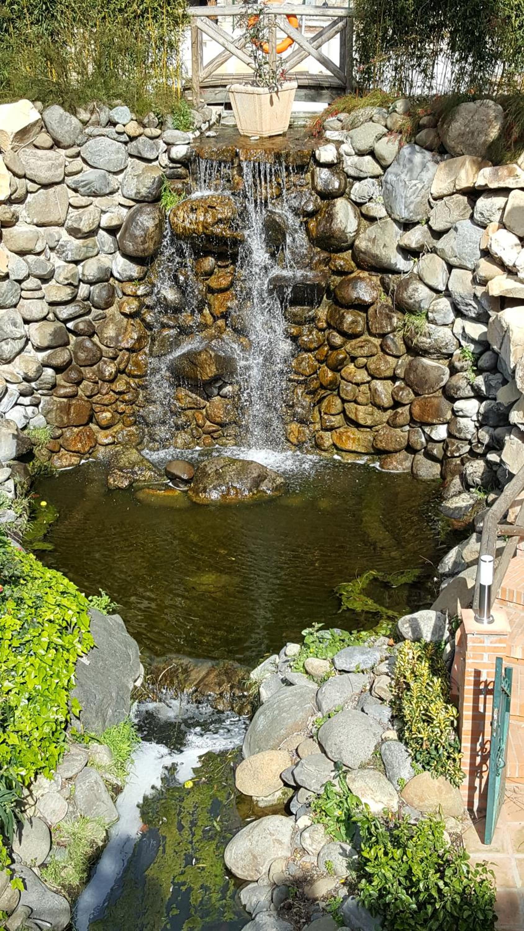 Photo 23