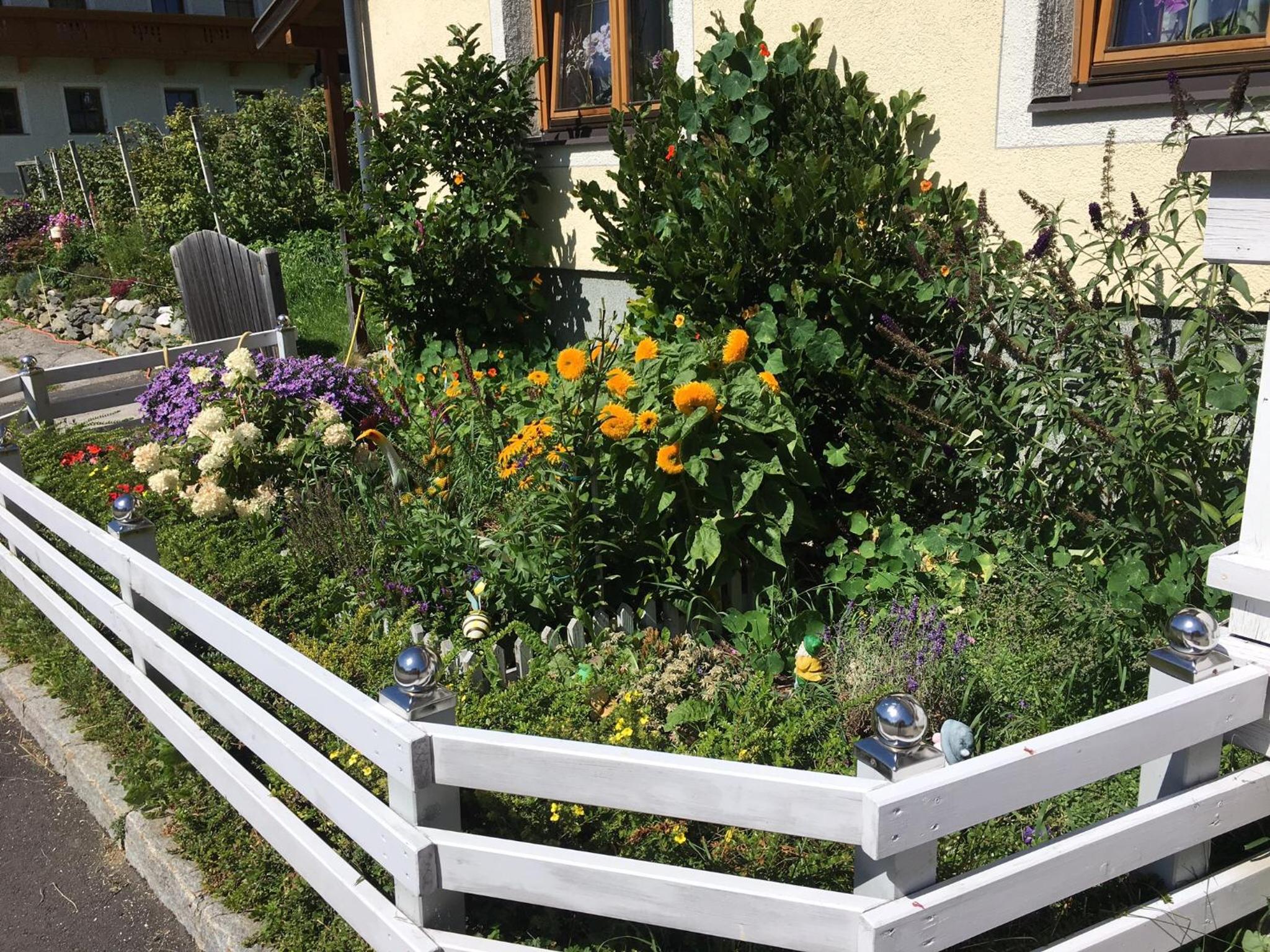 Photo 33