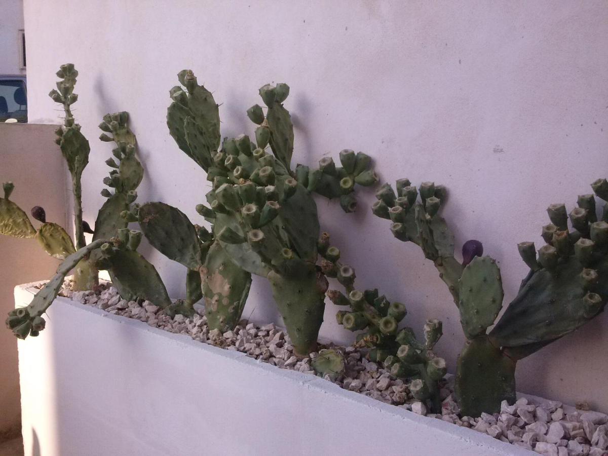 Photo 41