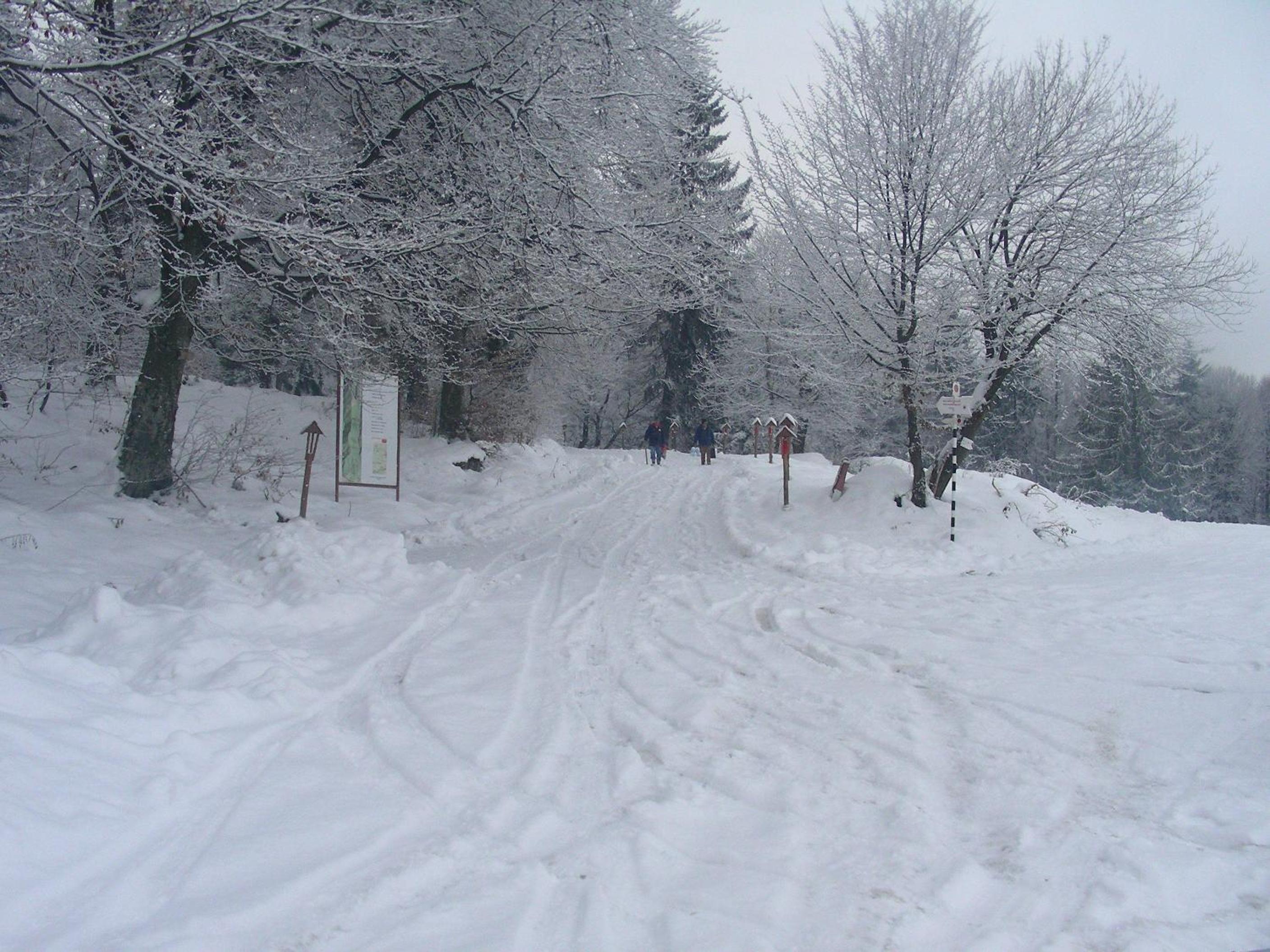 Photo 30