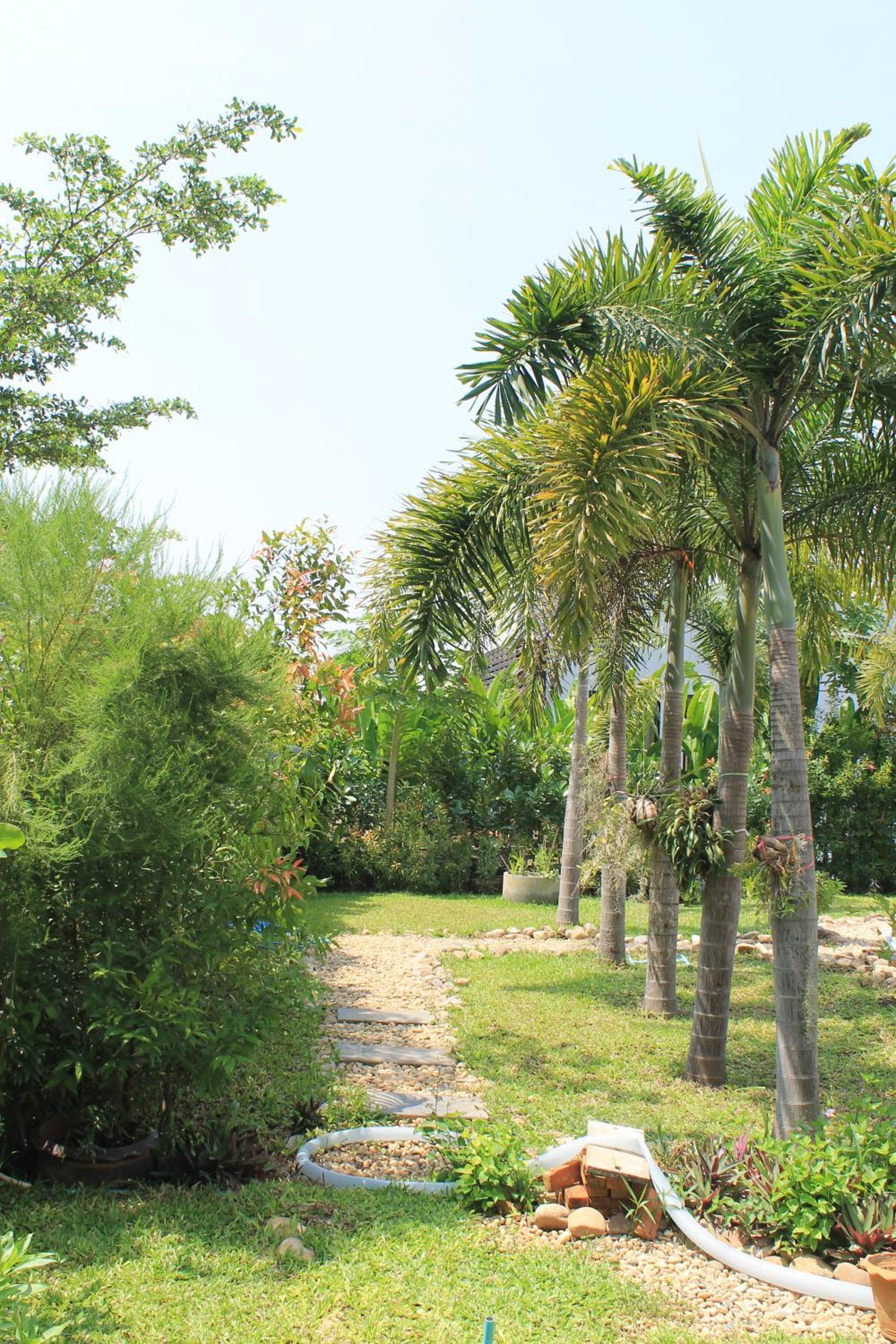 Jim Guesthouse view 2