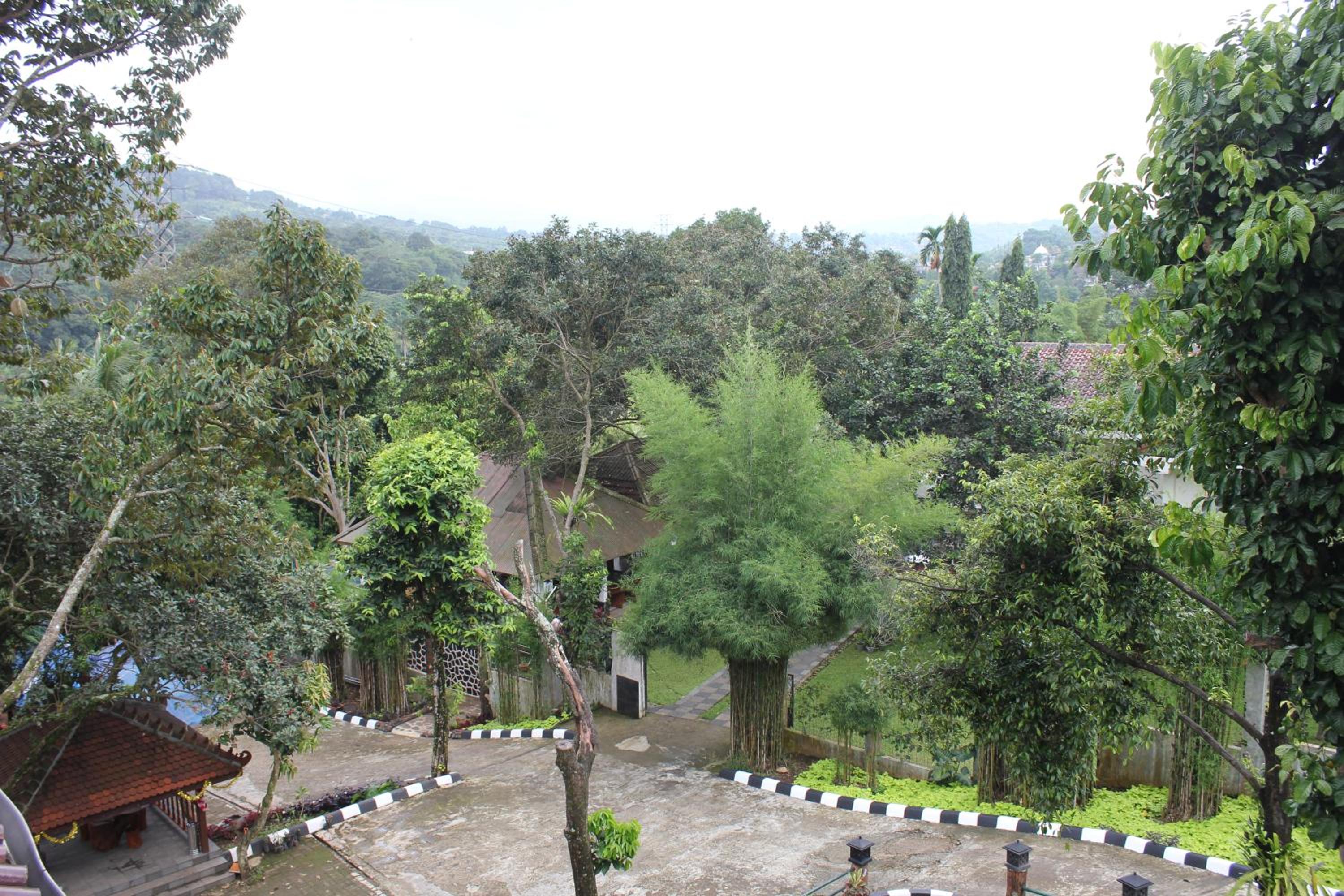 Villa Sawah Resort view 3