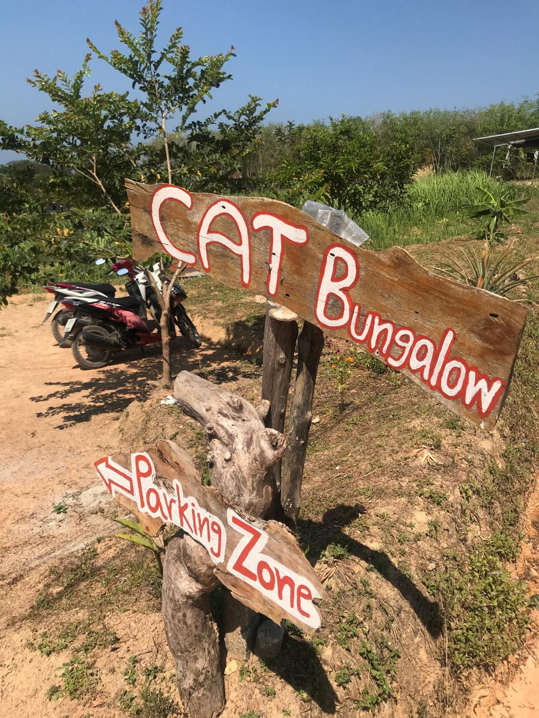 Cat Bungalow