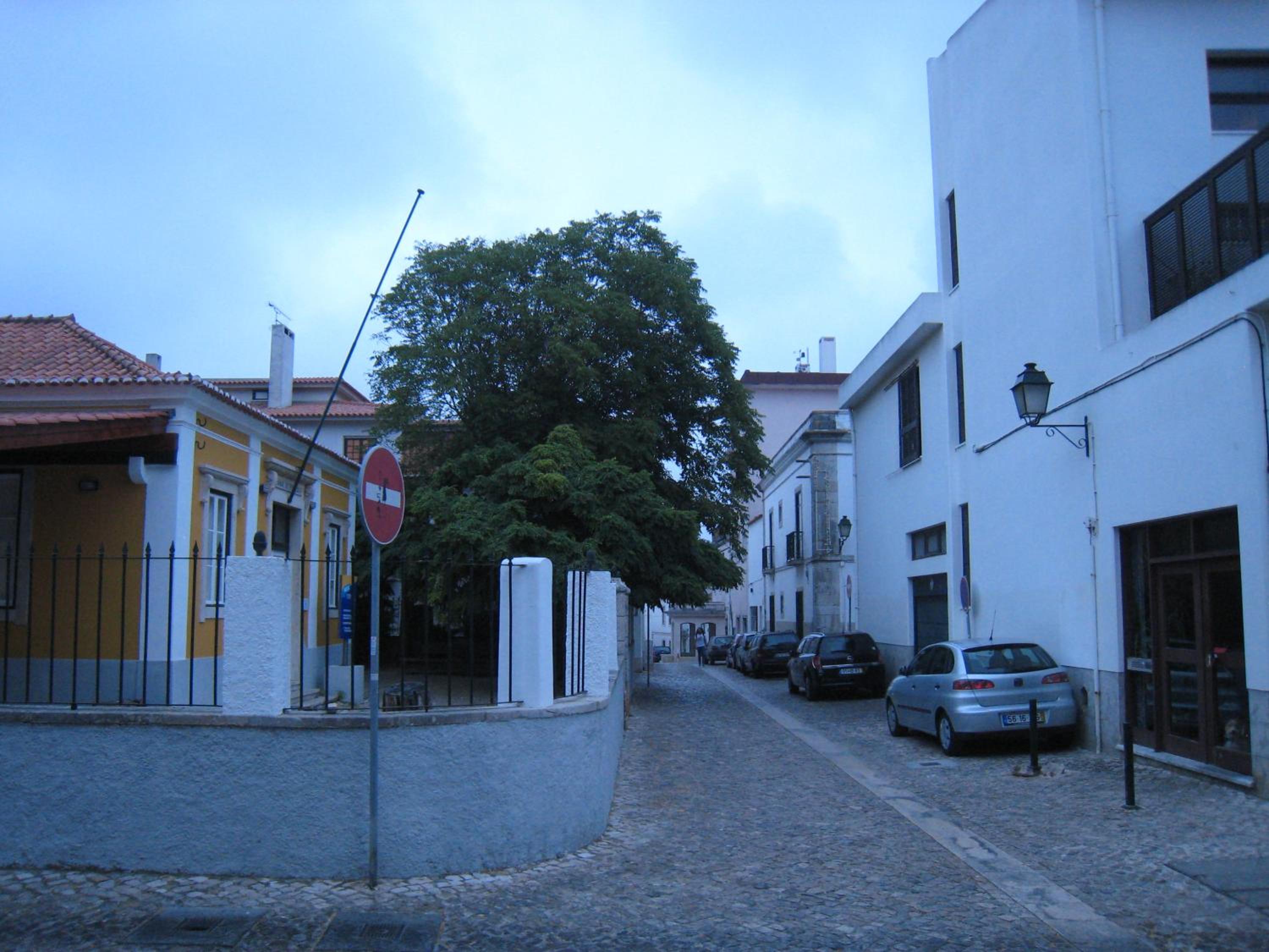 Cascais FEELINGS