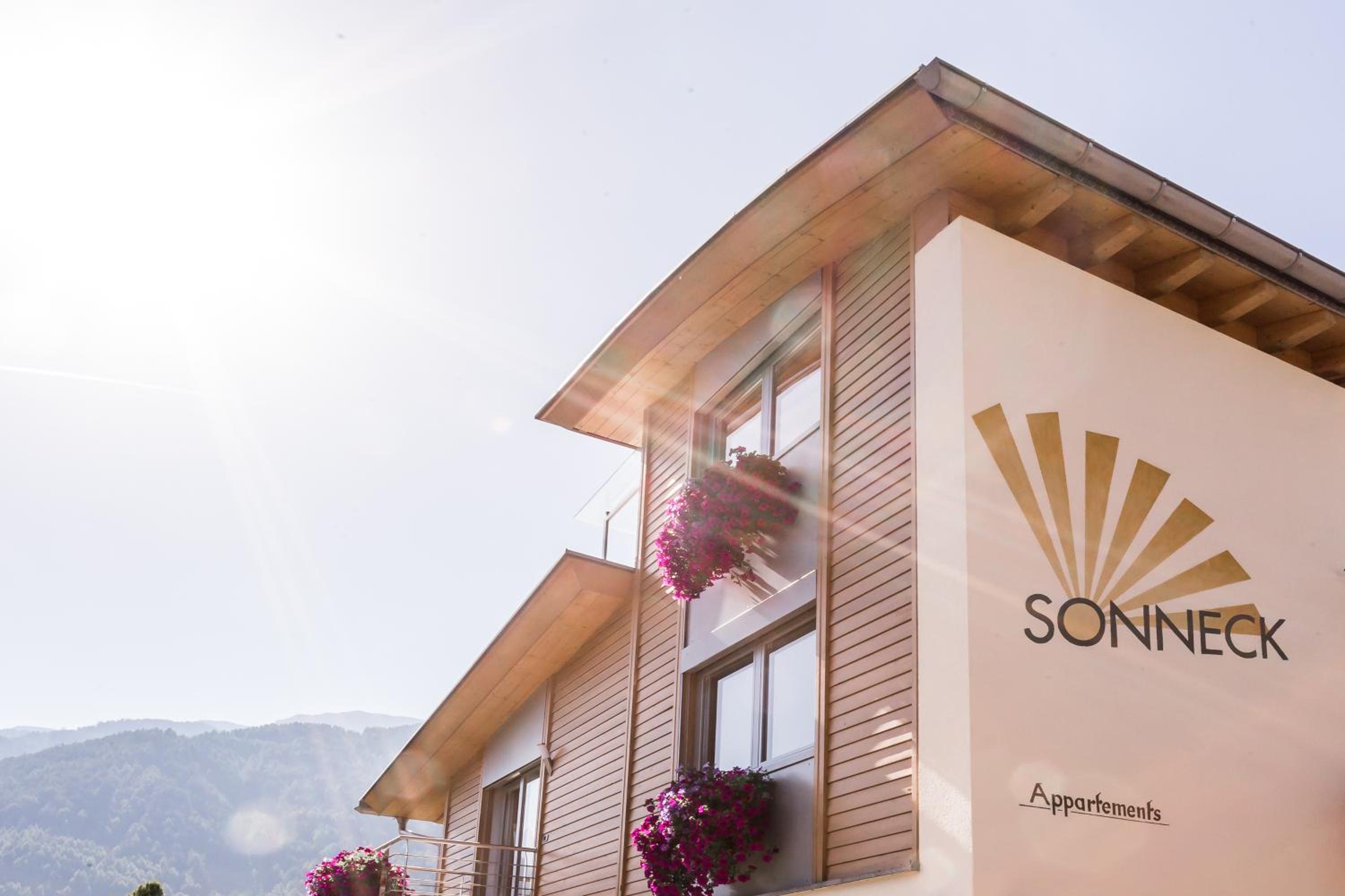 Appartements Sonneck photo 2