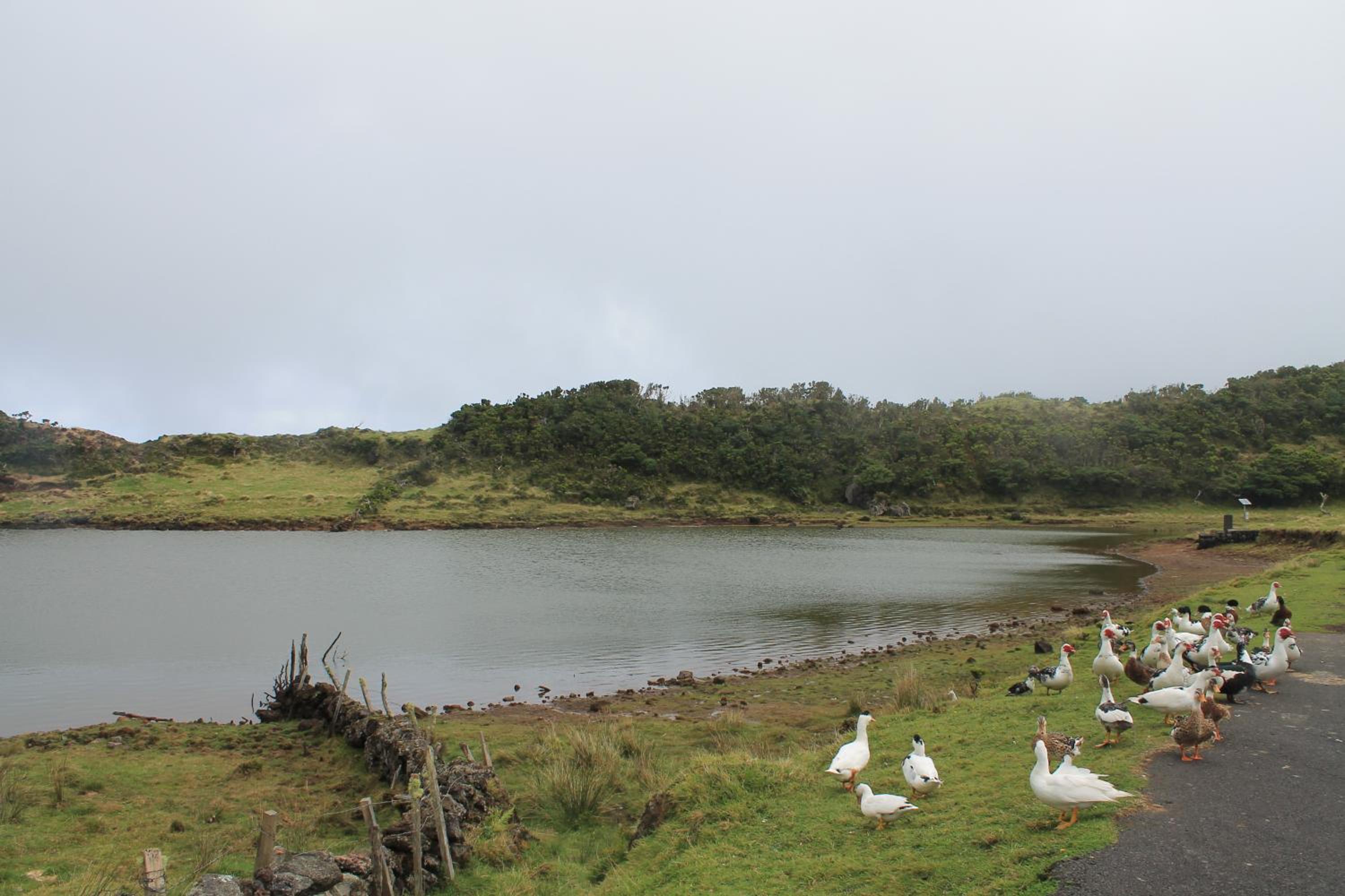 Photo 48