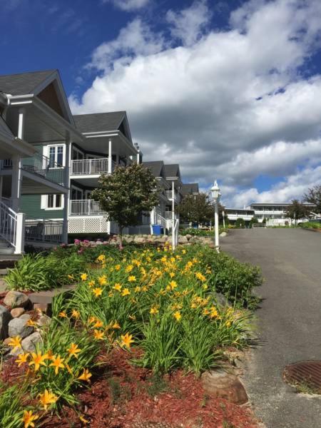 Condo Lac Archambault 295