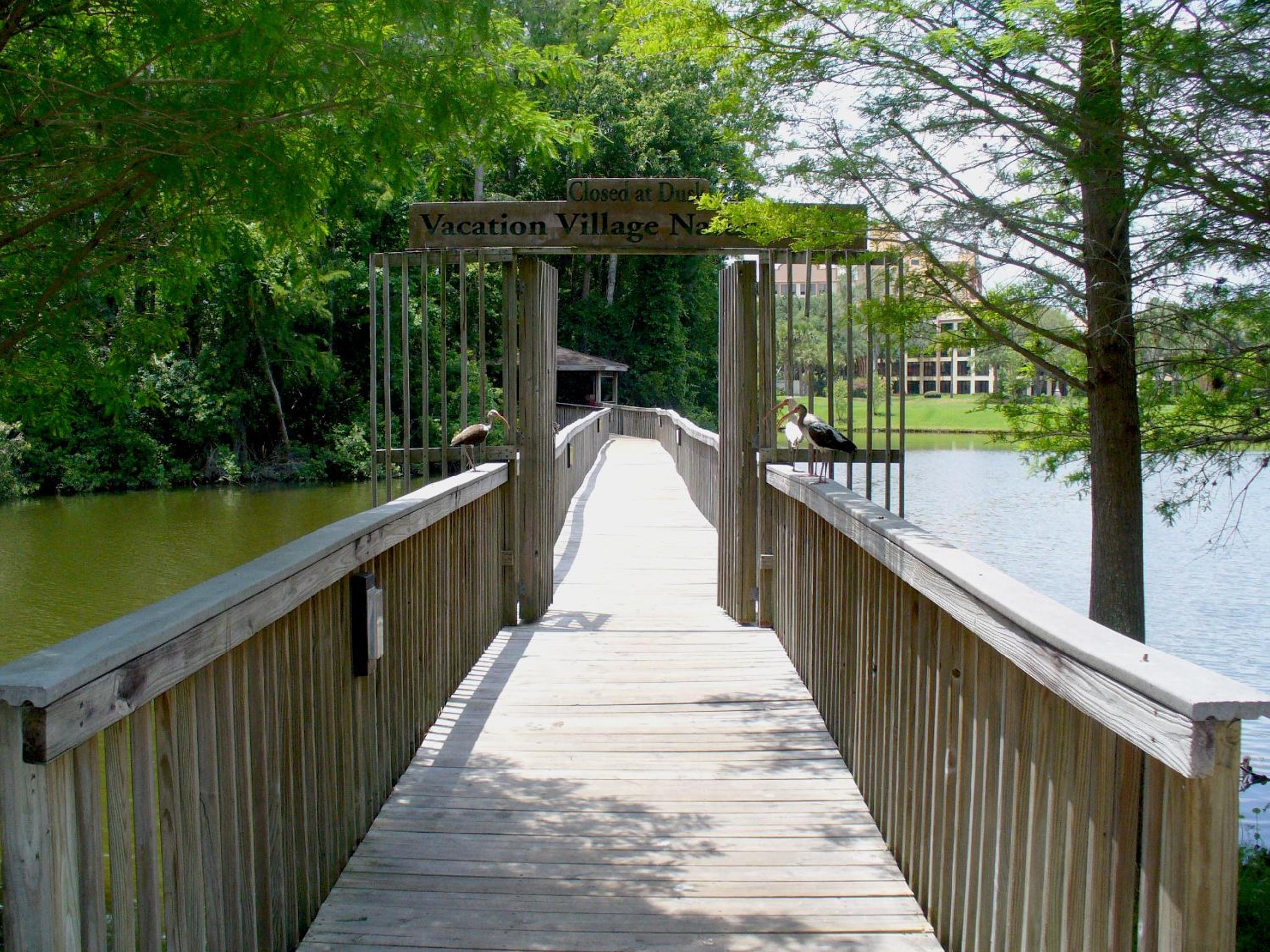 Vacation Village Orlando, Celebration, 사진 32