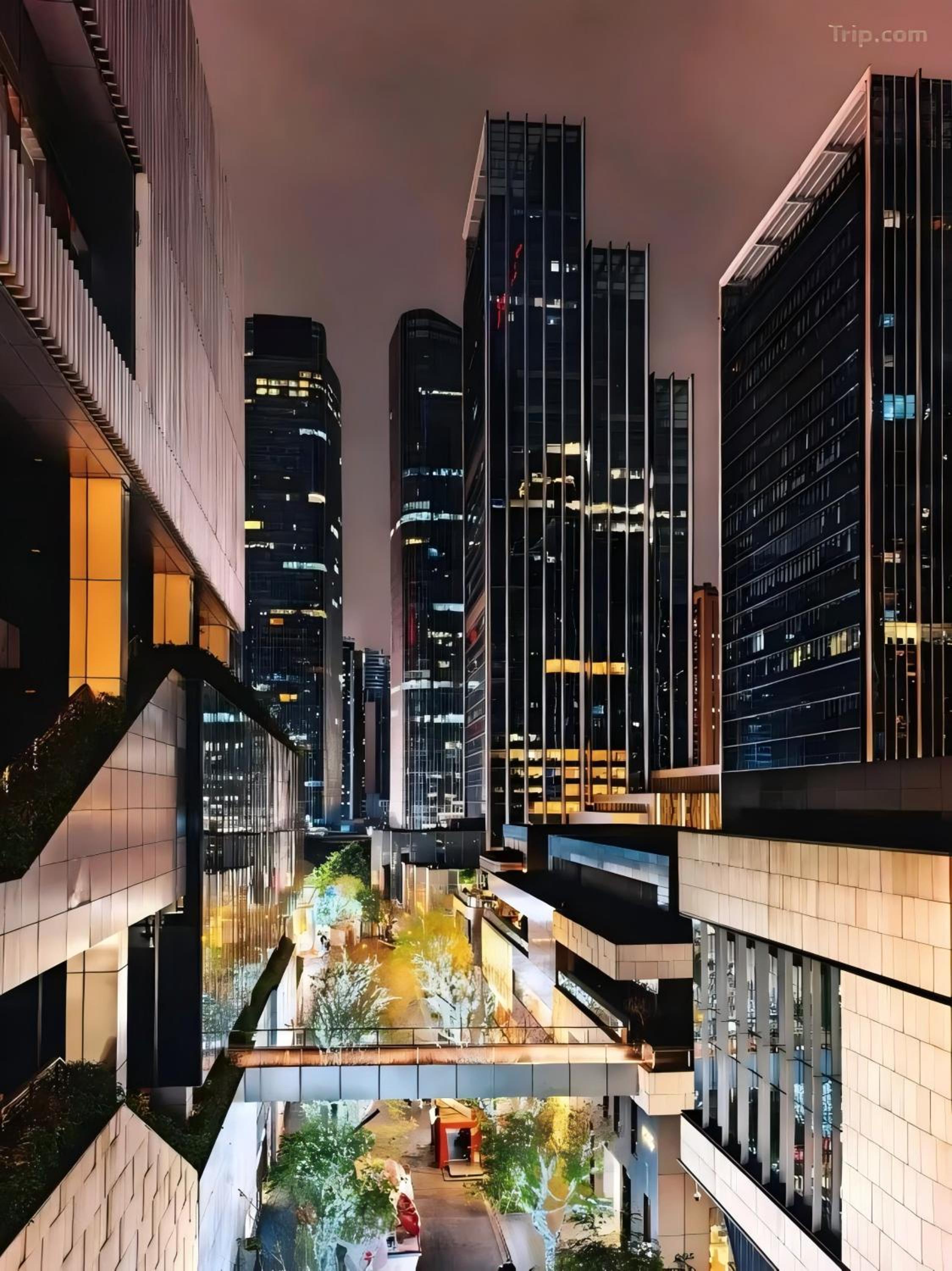 ShenZhen Platinum Collection Service Apt