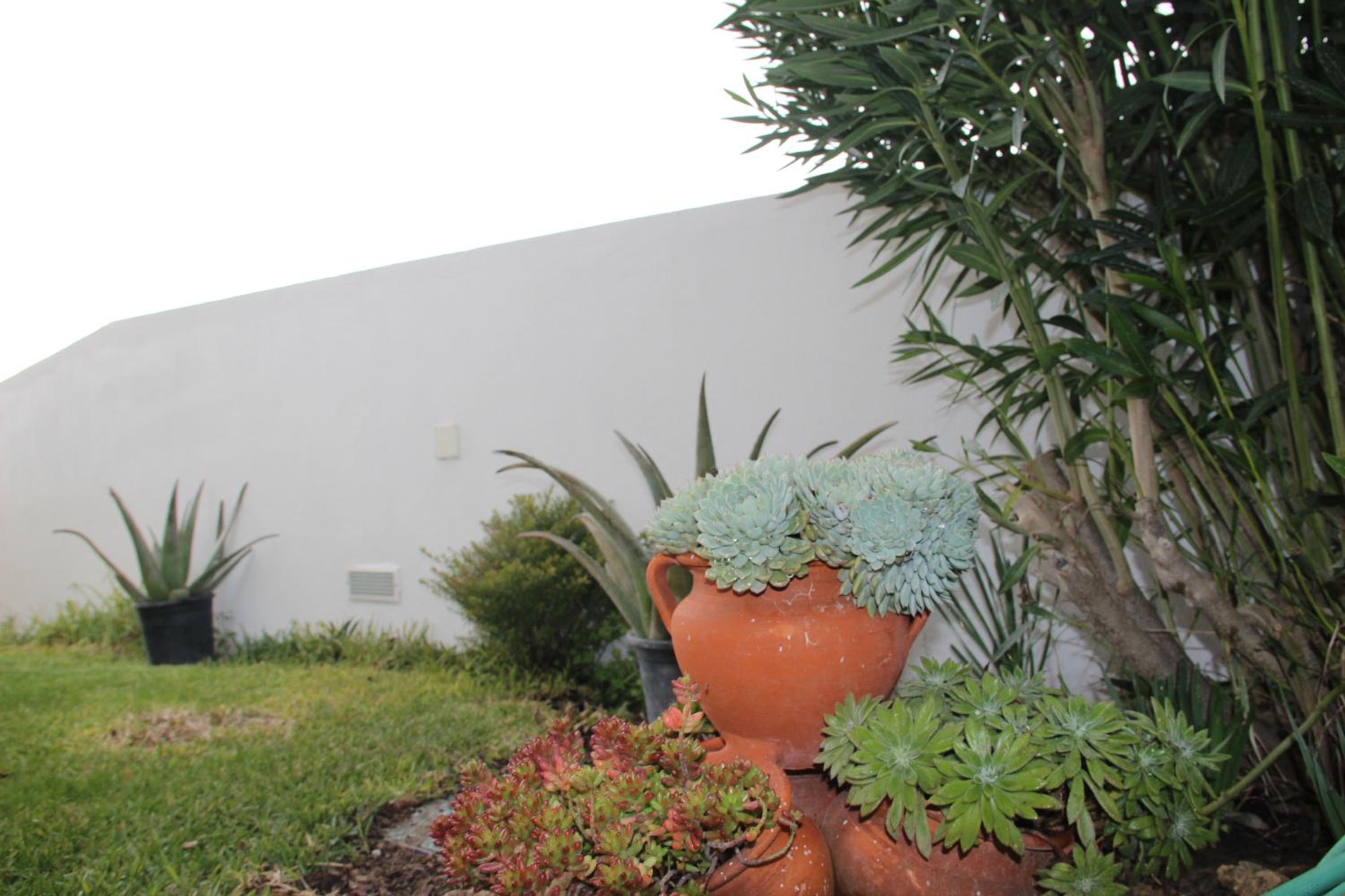 Alentejo`s Nest
