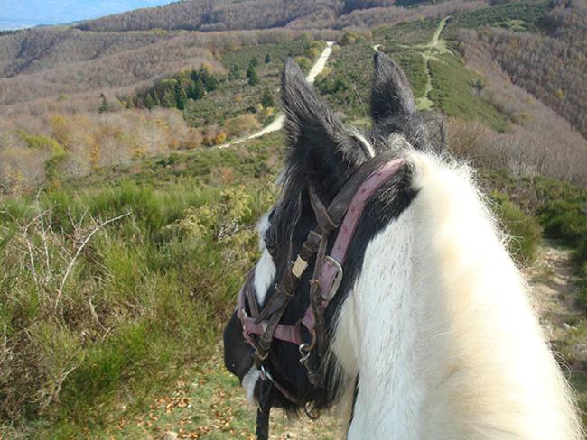 Tenuta Selvaggia