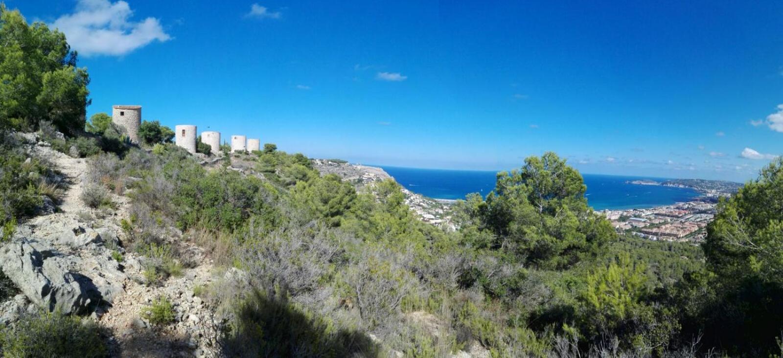 La sirenita