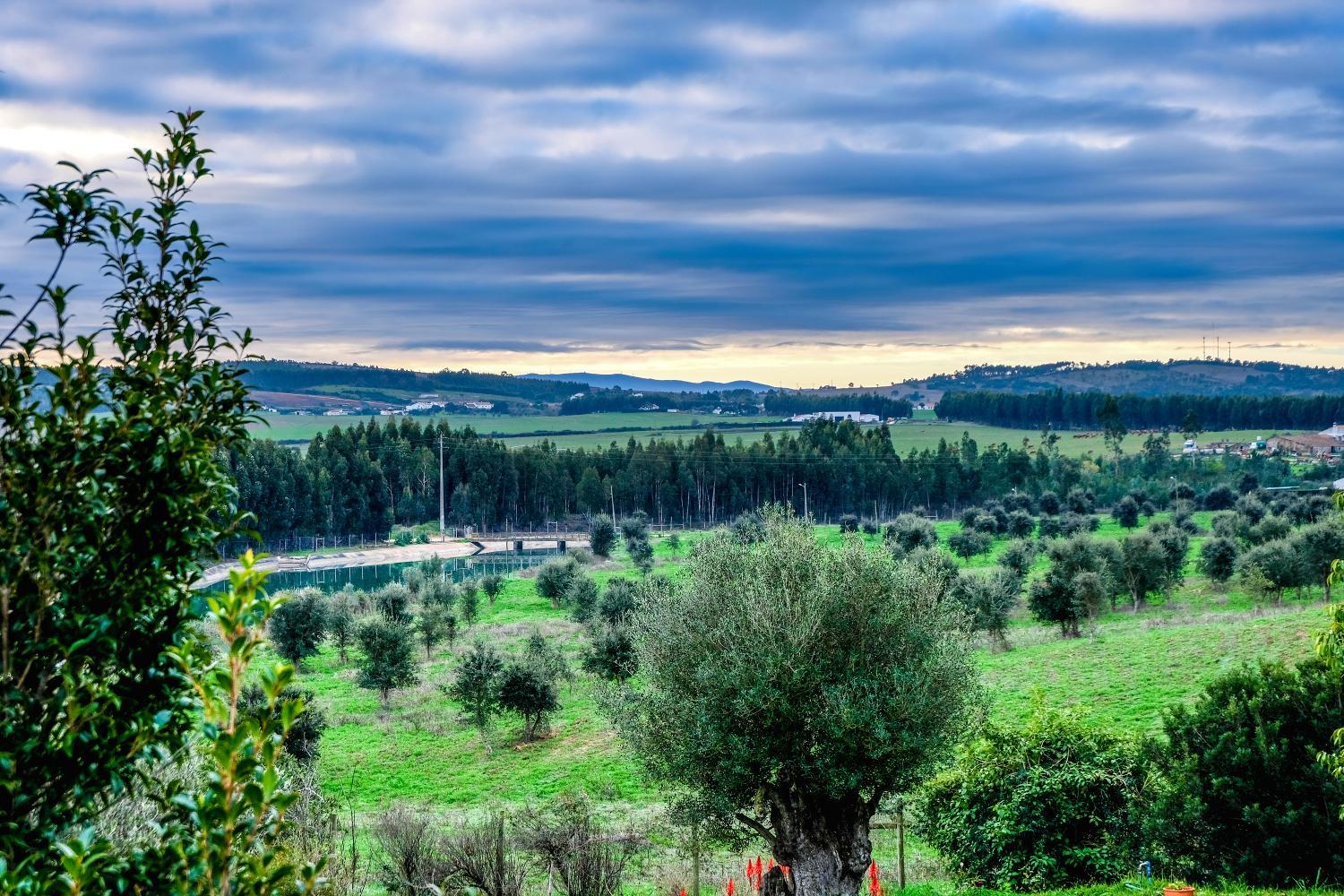 Monte Soalheiro