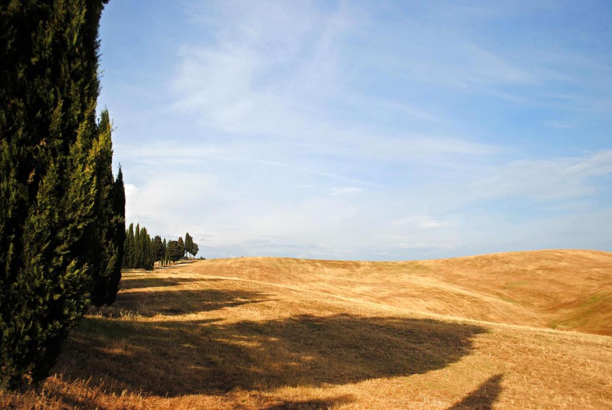 Casa Nonno Isidoro