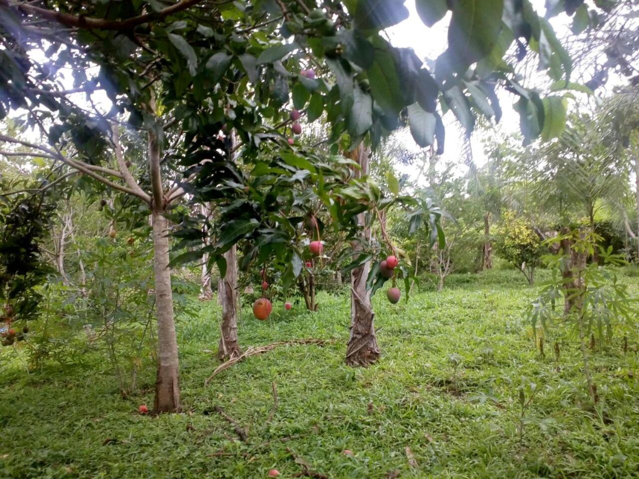 Sítio Lavras do Abade