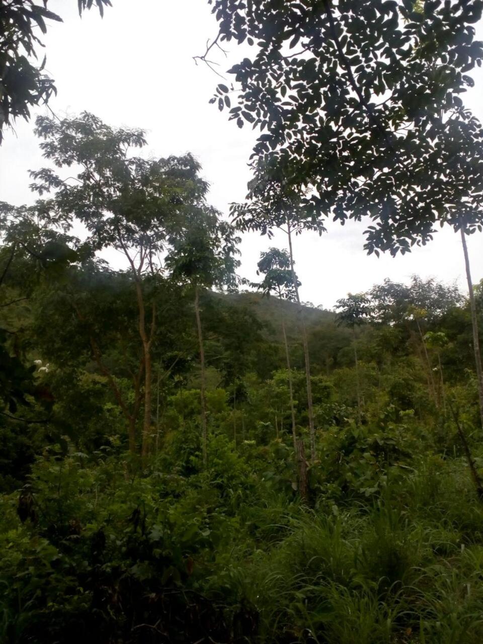 Sítio Lavras do Abade