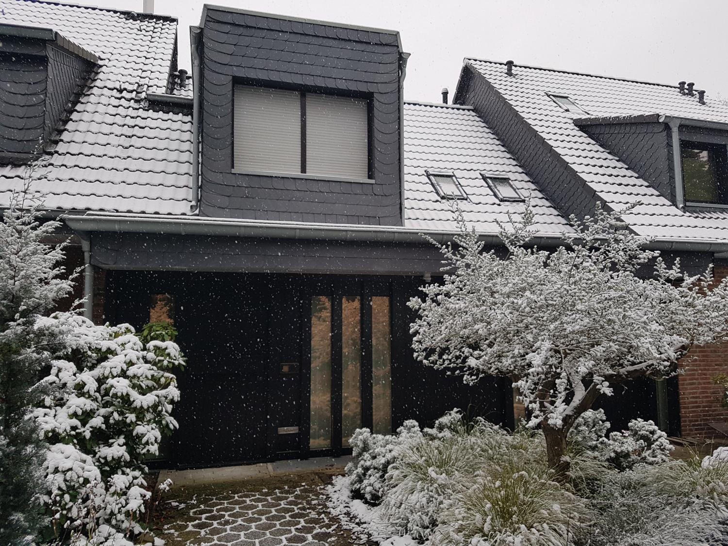 Haus Palmengarten