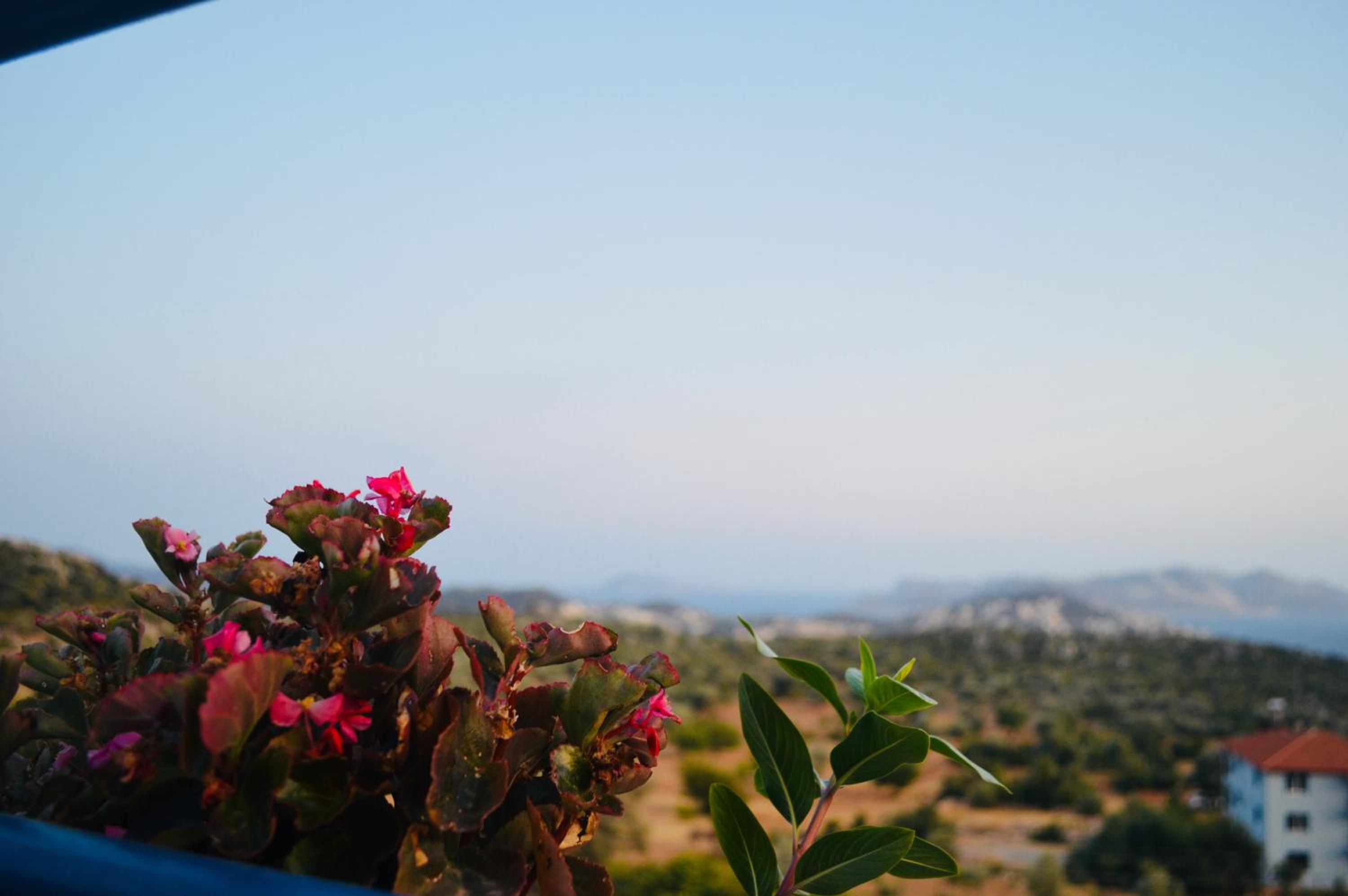 Miramar Pansiyon
