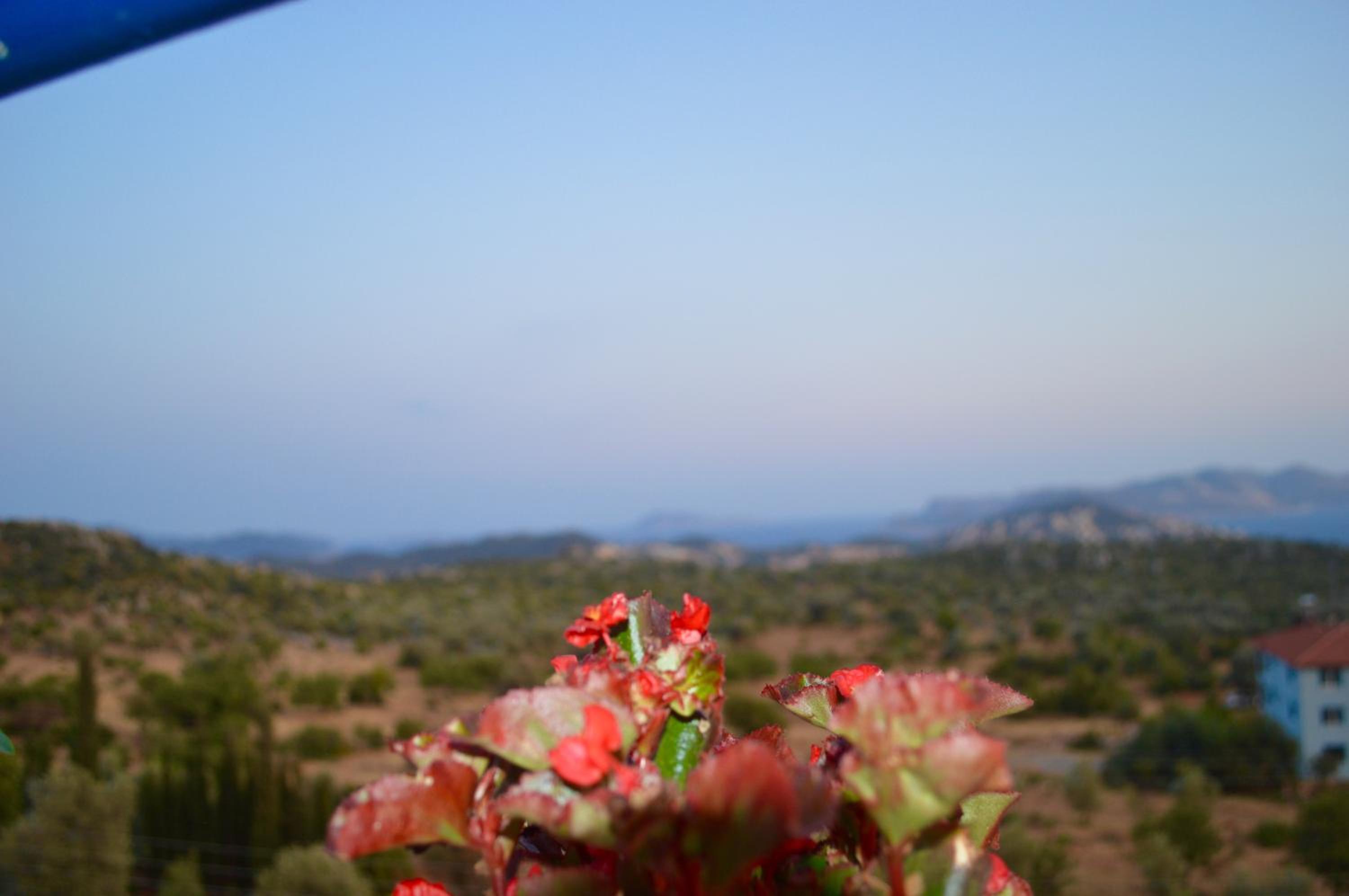 Miramar Pansiyon