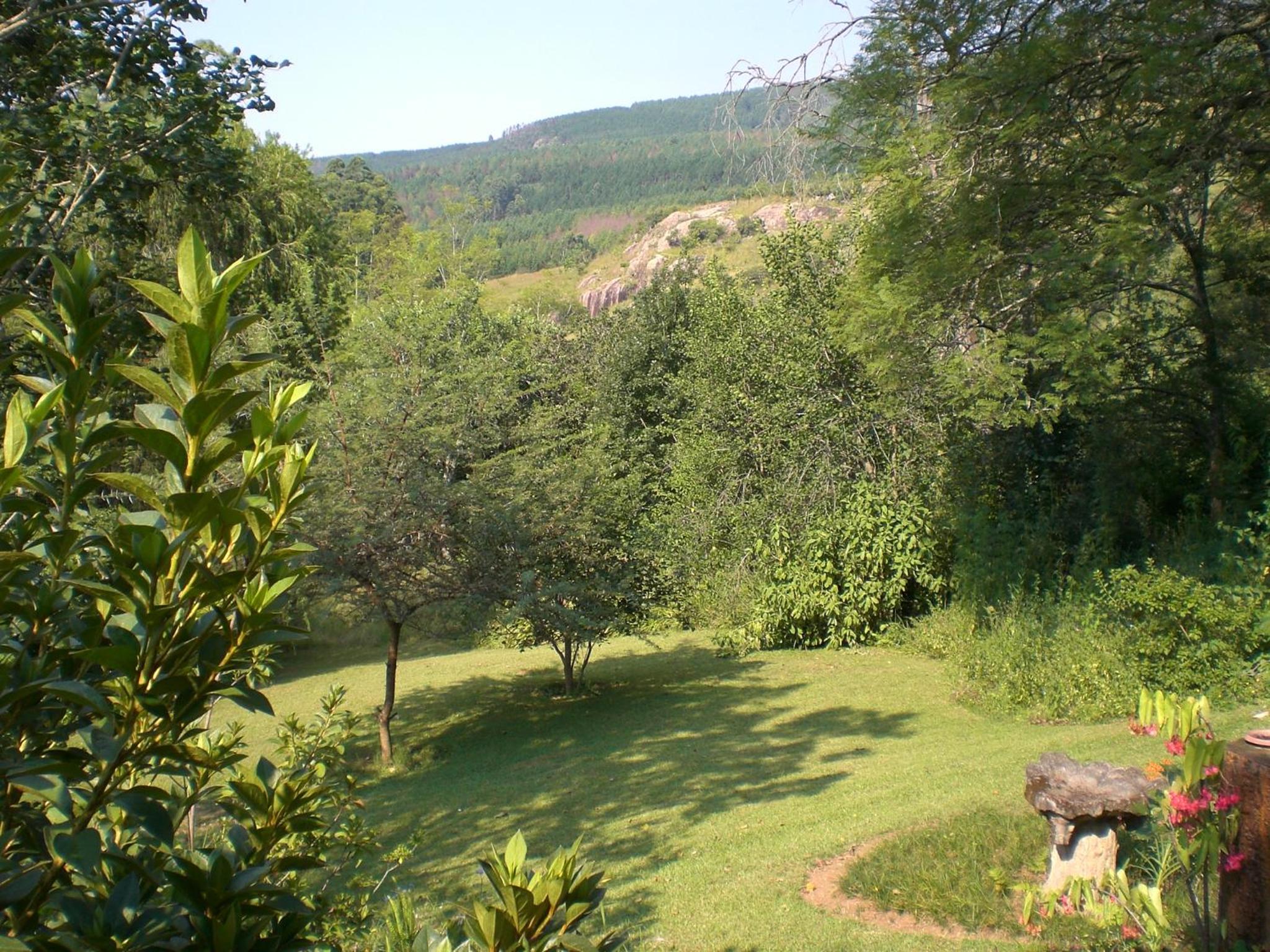 Photo 48