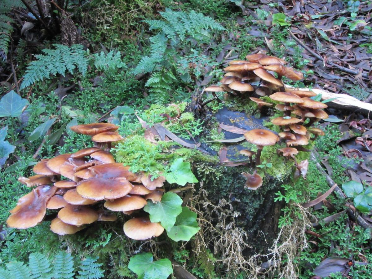Photo 27