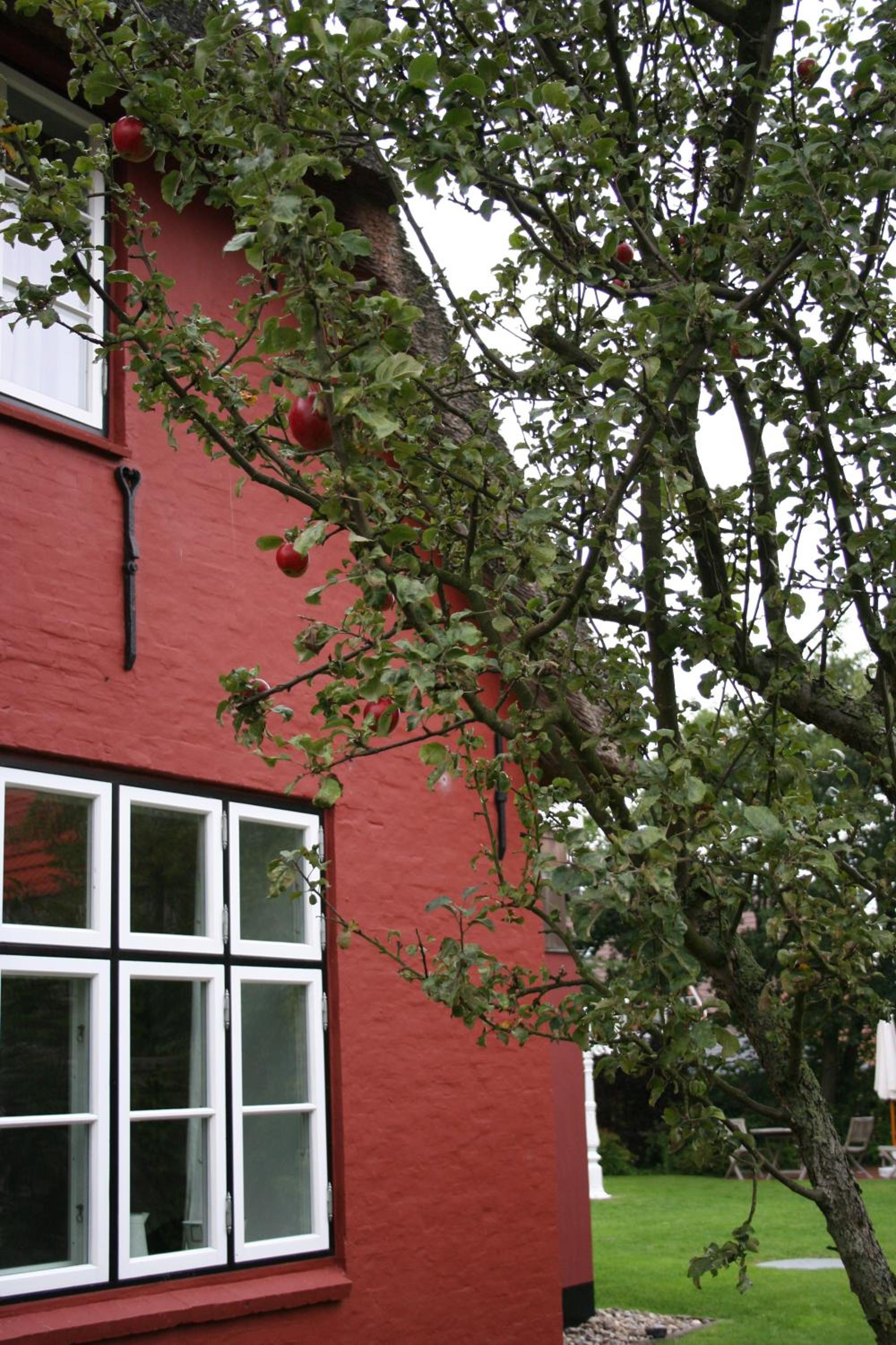 Alte Schule SPO