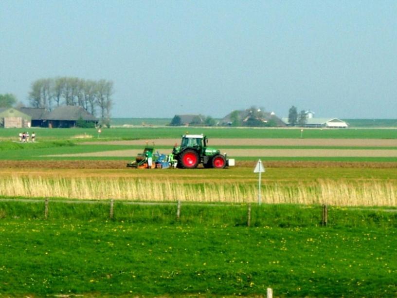 de Twee Paardjes