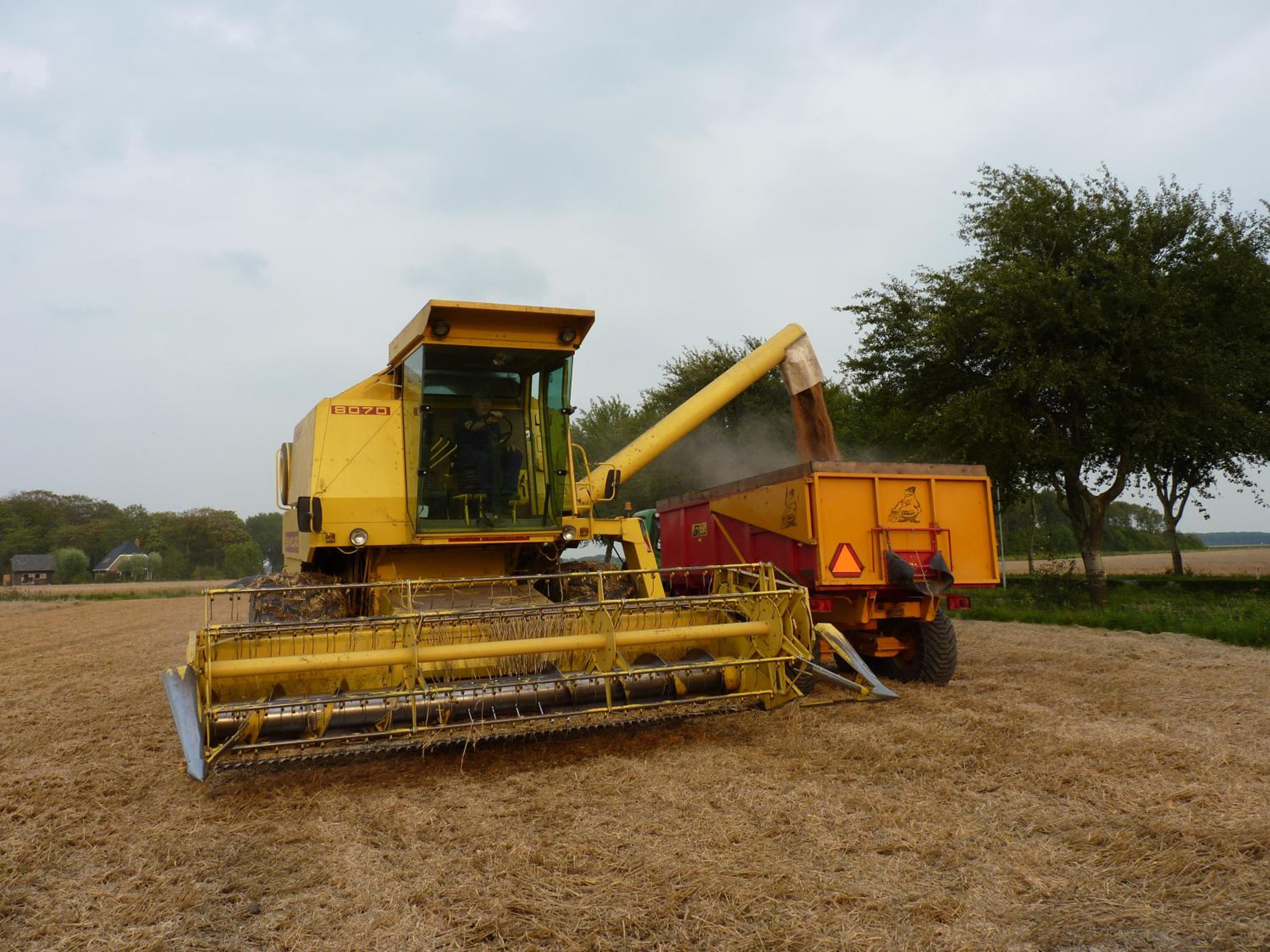 de Twee Paardjes