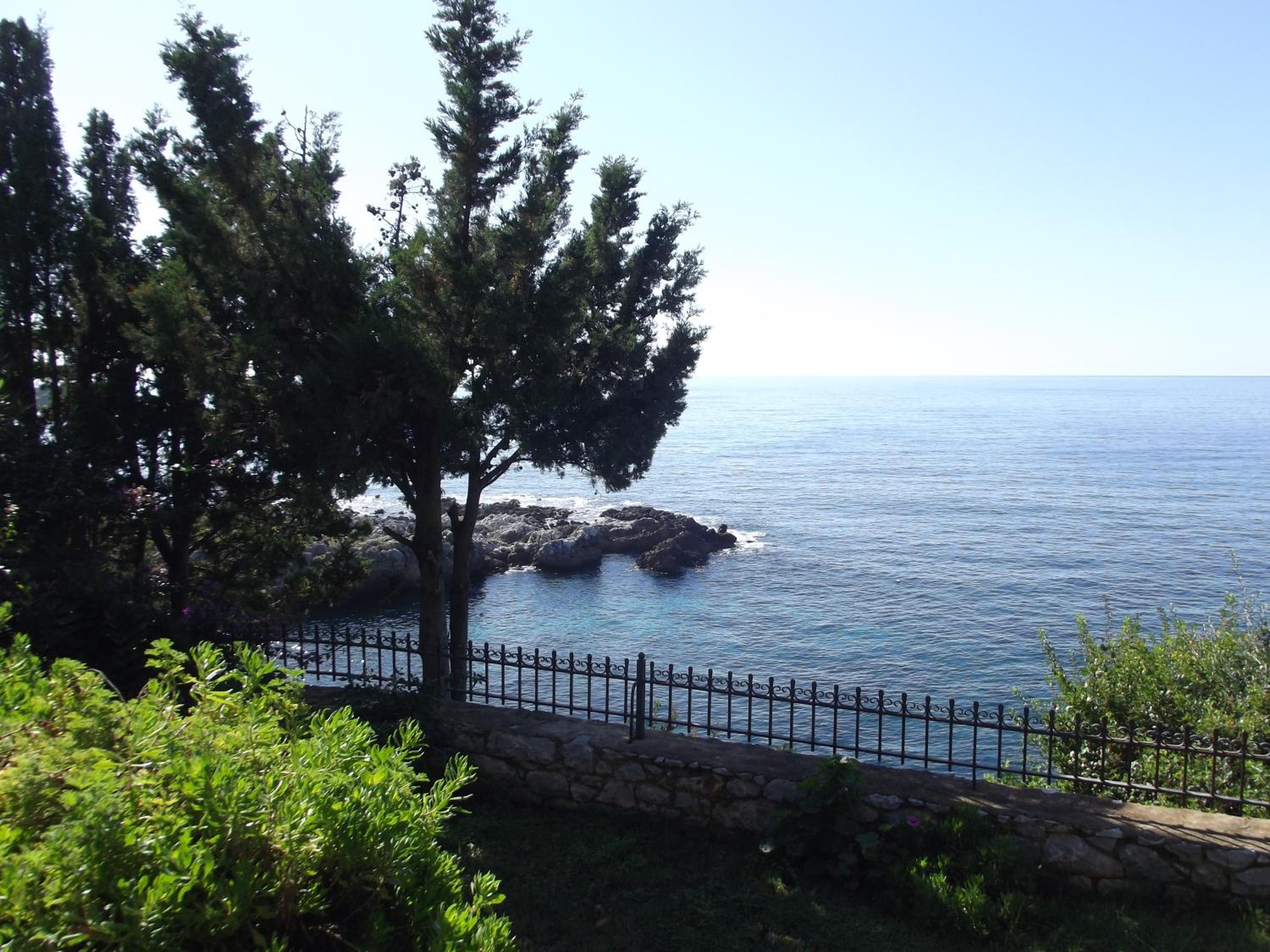 Photo 16