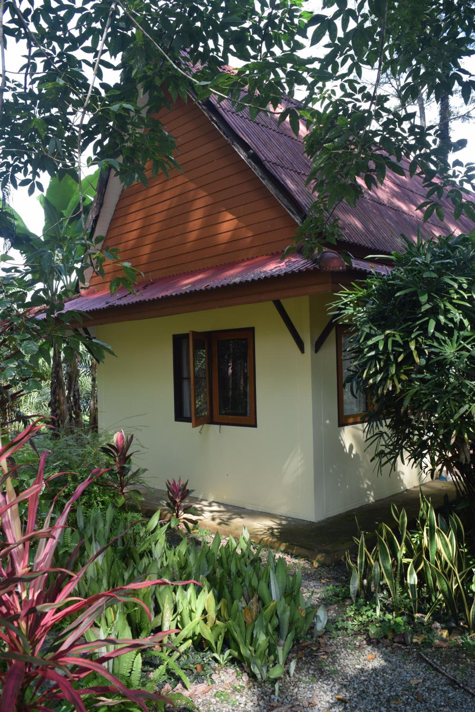 Photo 28