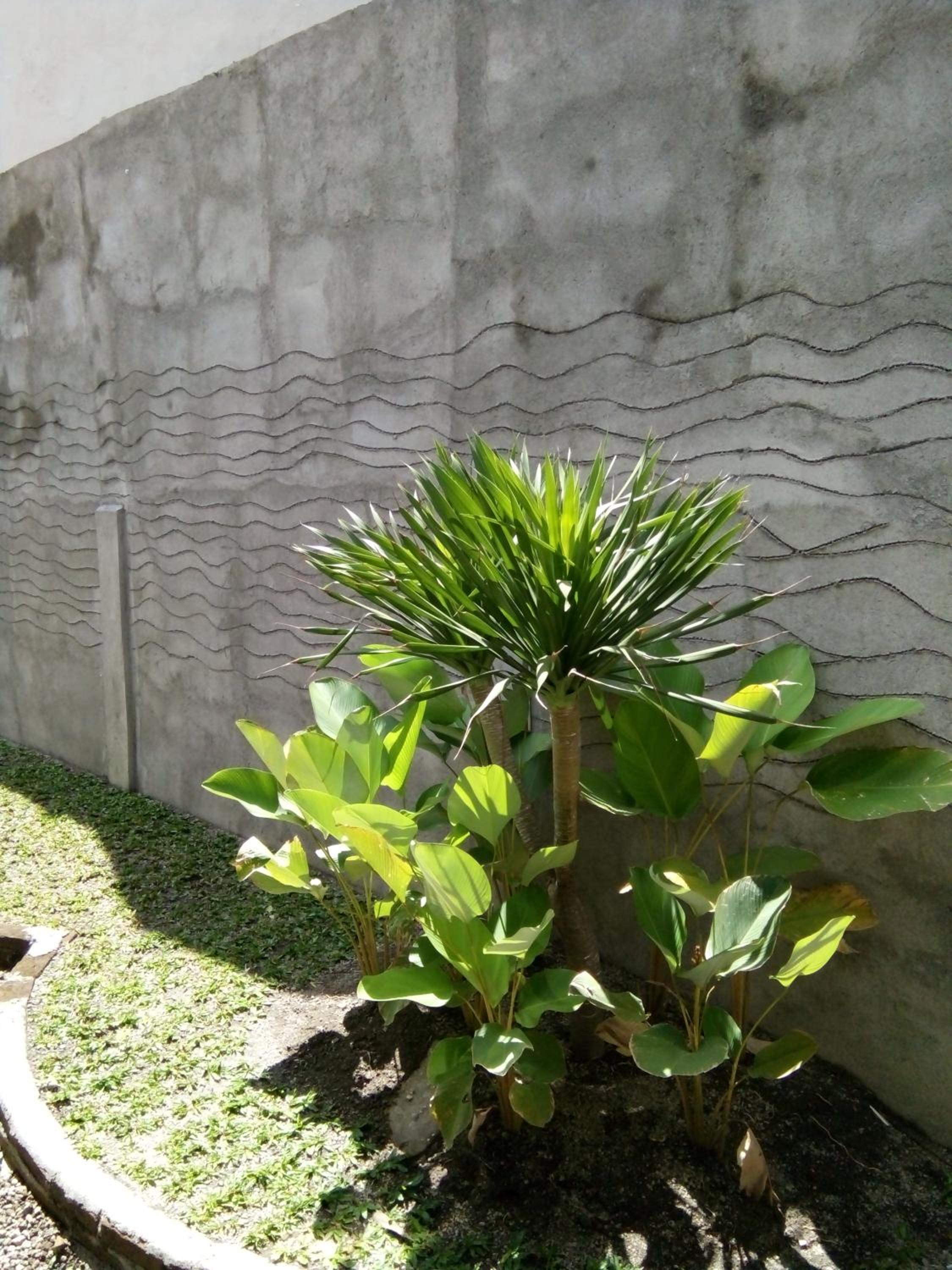 ZiFa Mandalika