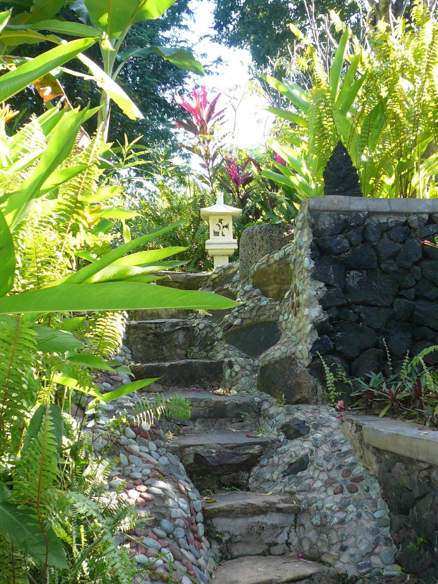 Photo 29