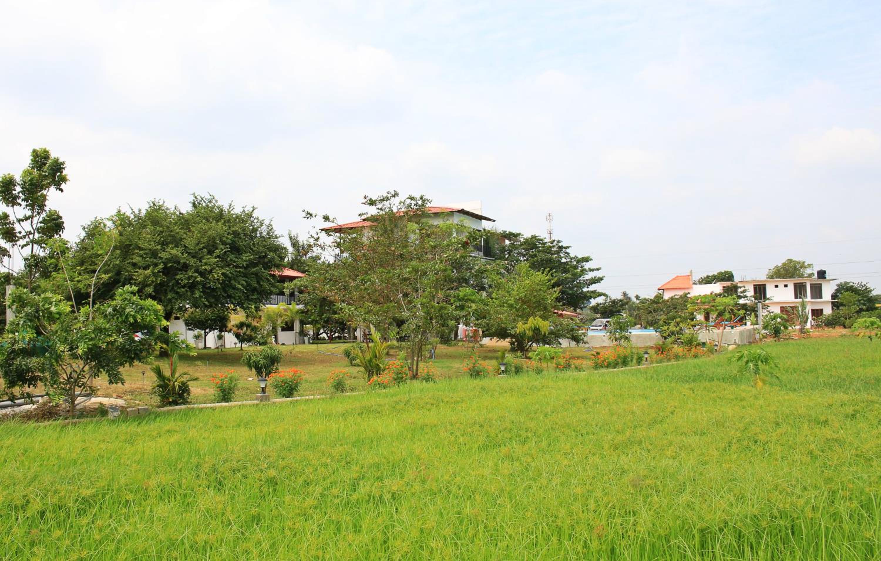 Hotel Freedom Village - Image 1