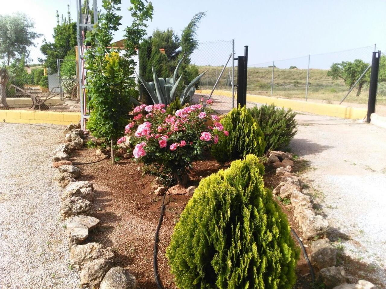 Photo 15