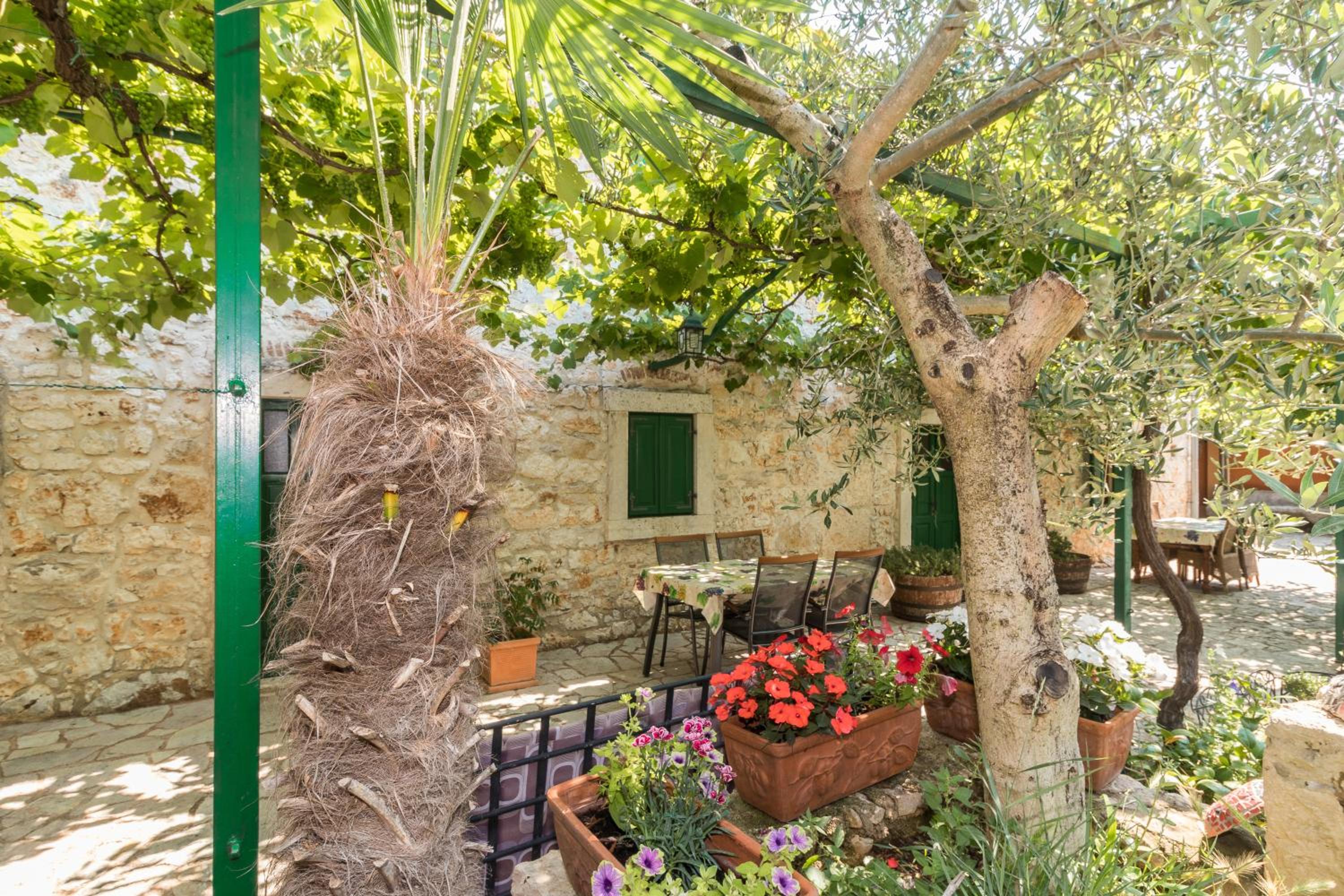 Country House Apartments