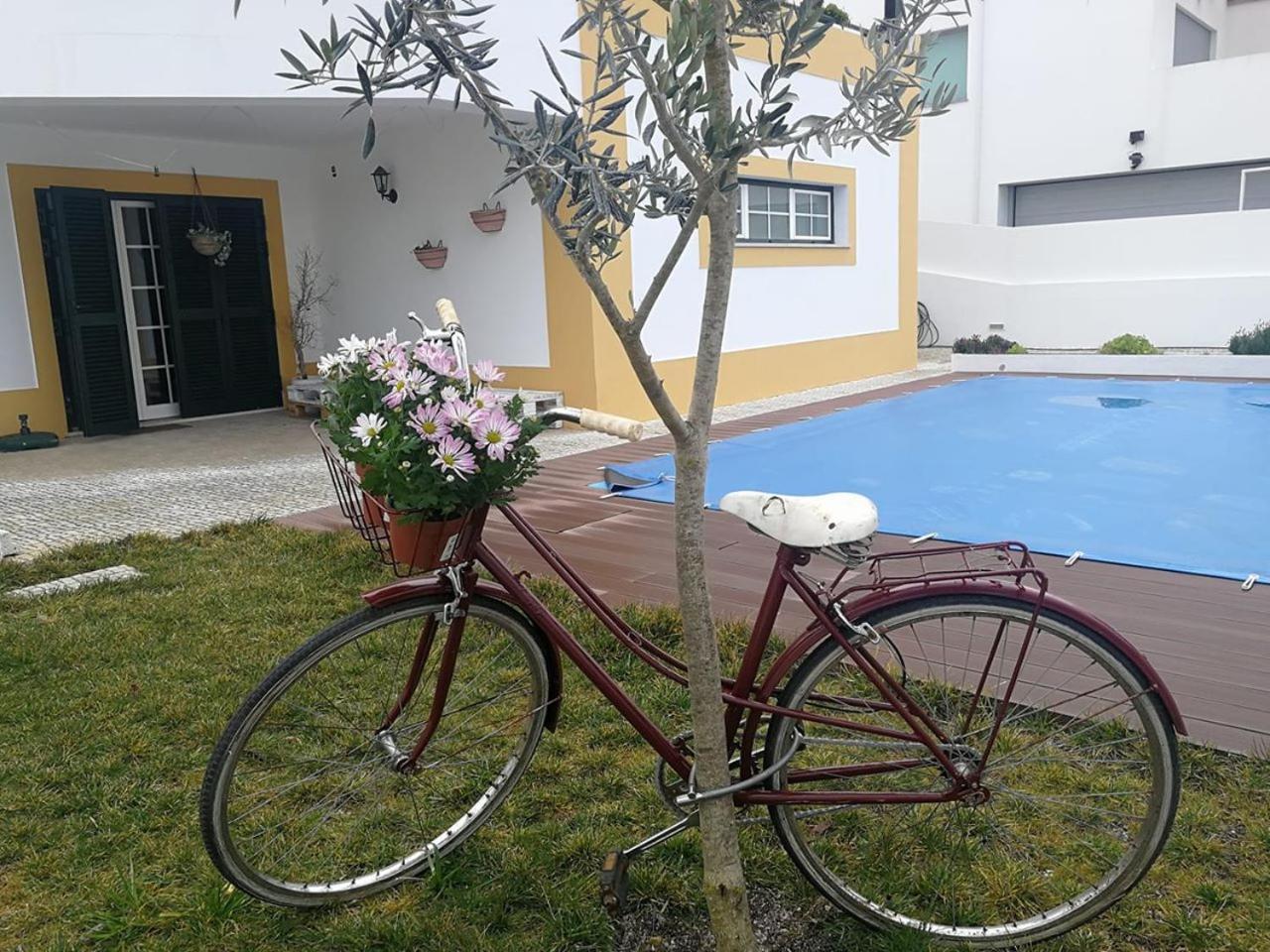 Alentejo`s Nest